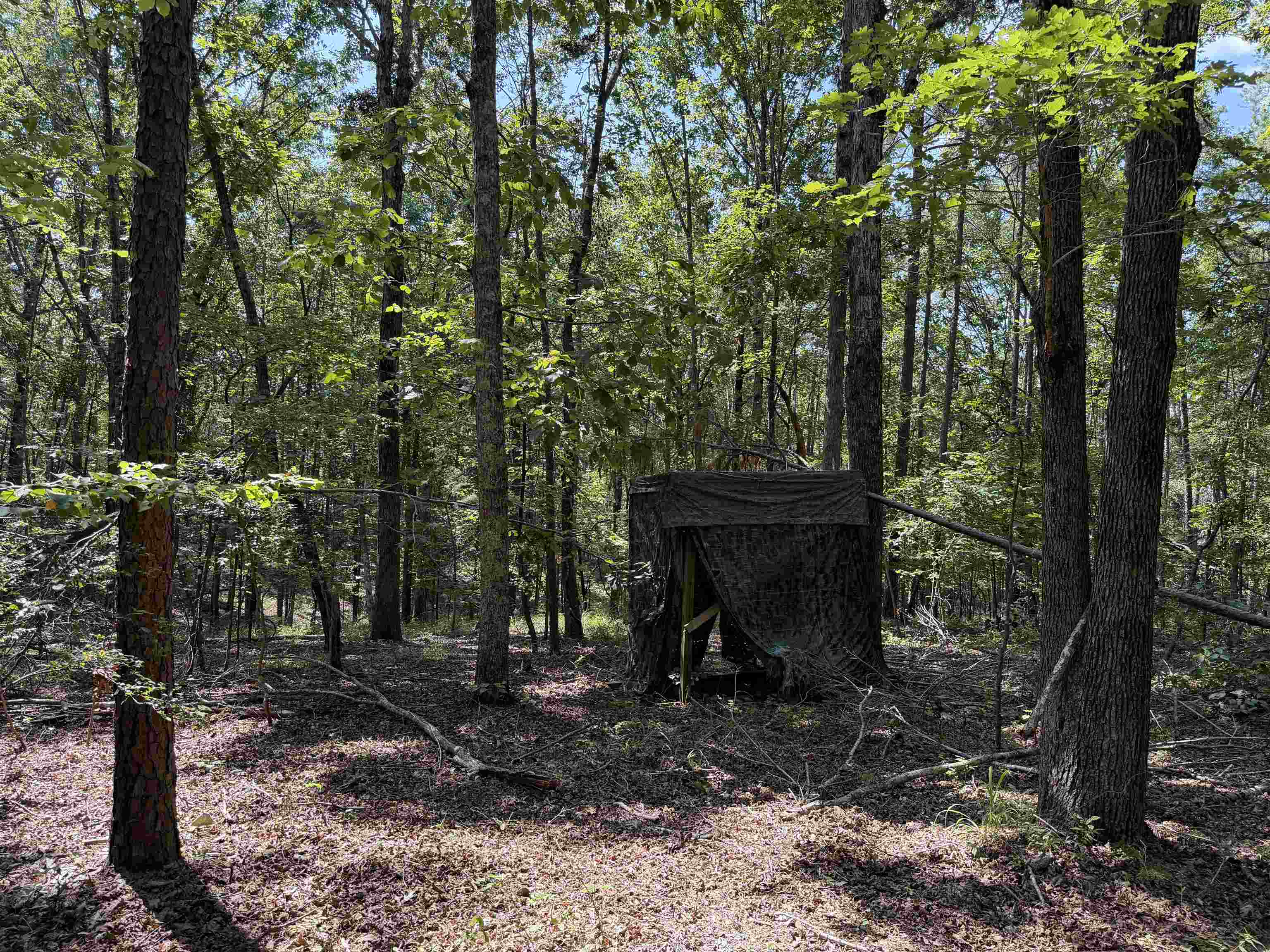 0 Megan Ln Property Photo 8