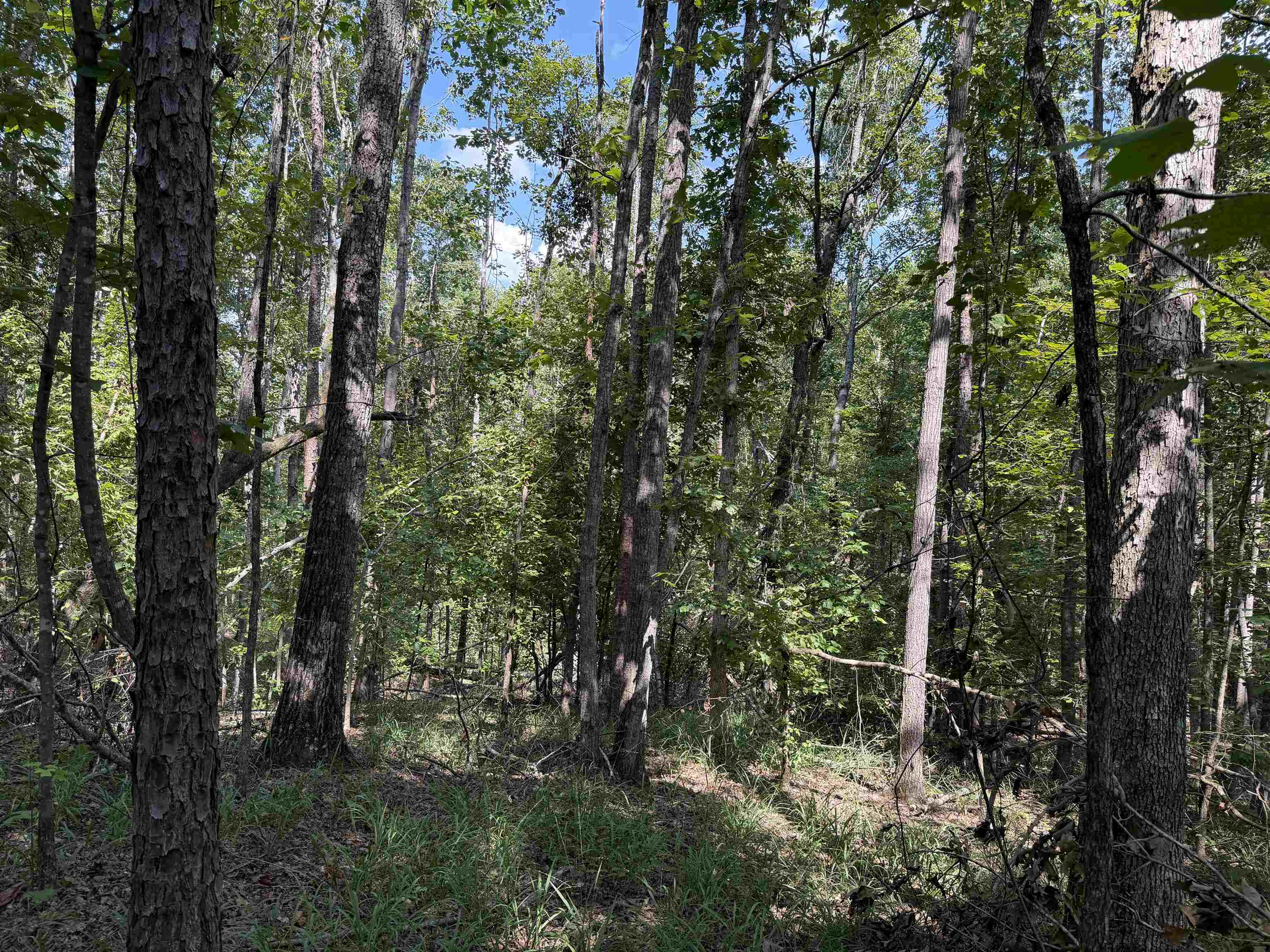 0 Megan Ln Property Photo 9