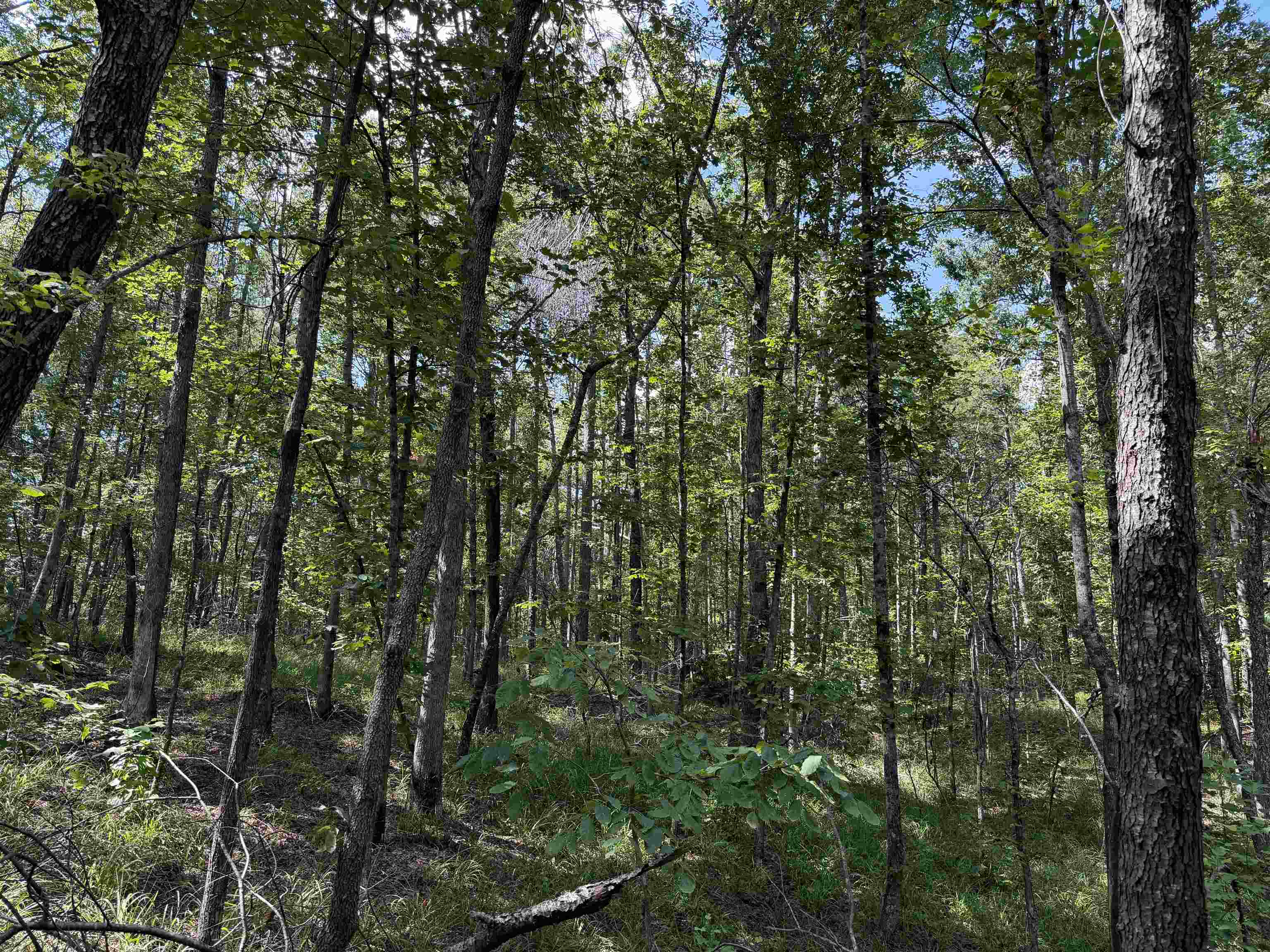 0 Megan Ln Property Photo 10