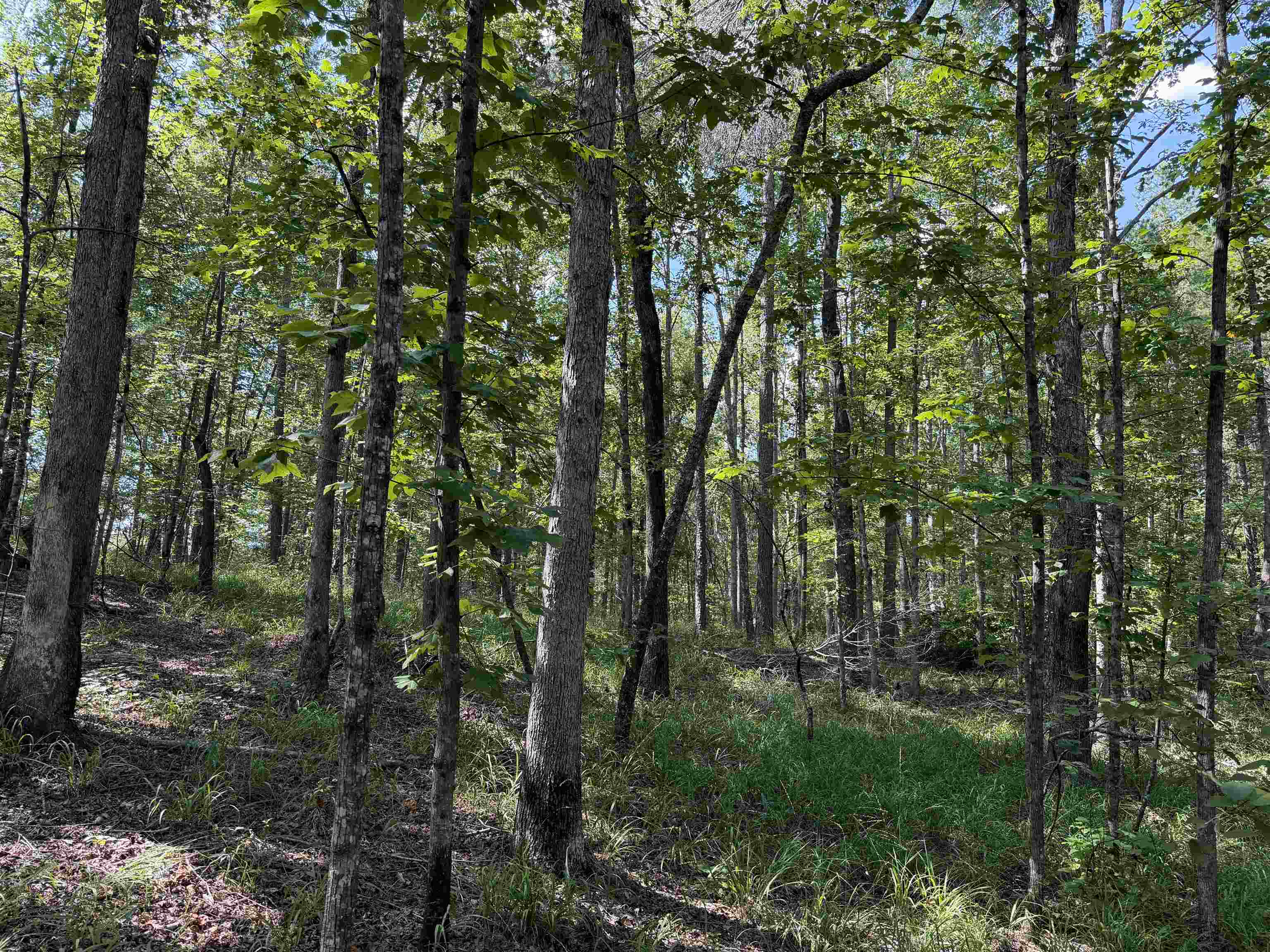 0 Megan Ln Property Photo 11