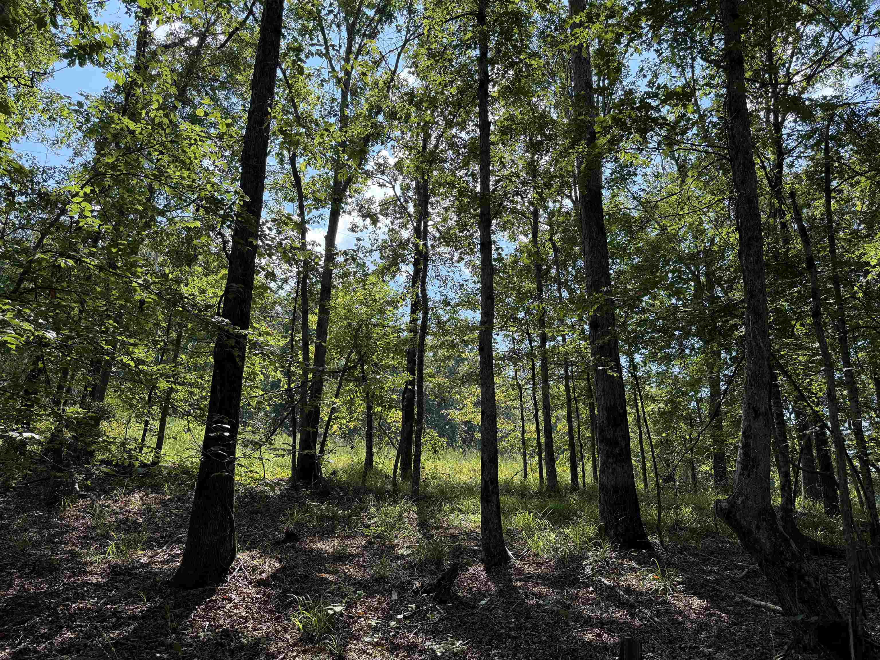 0 Megan Ln Property Photo 12