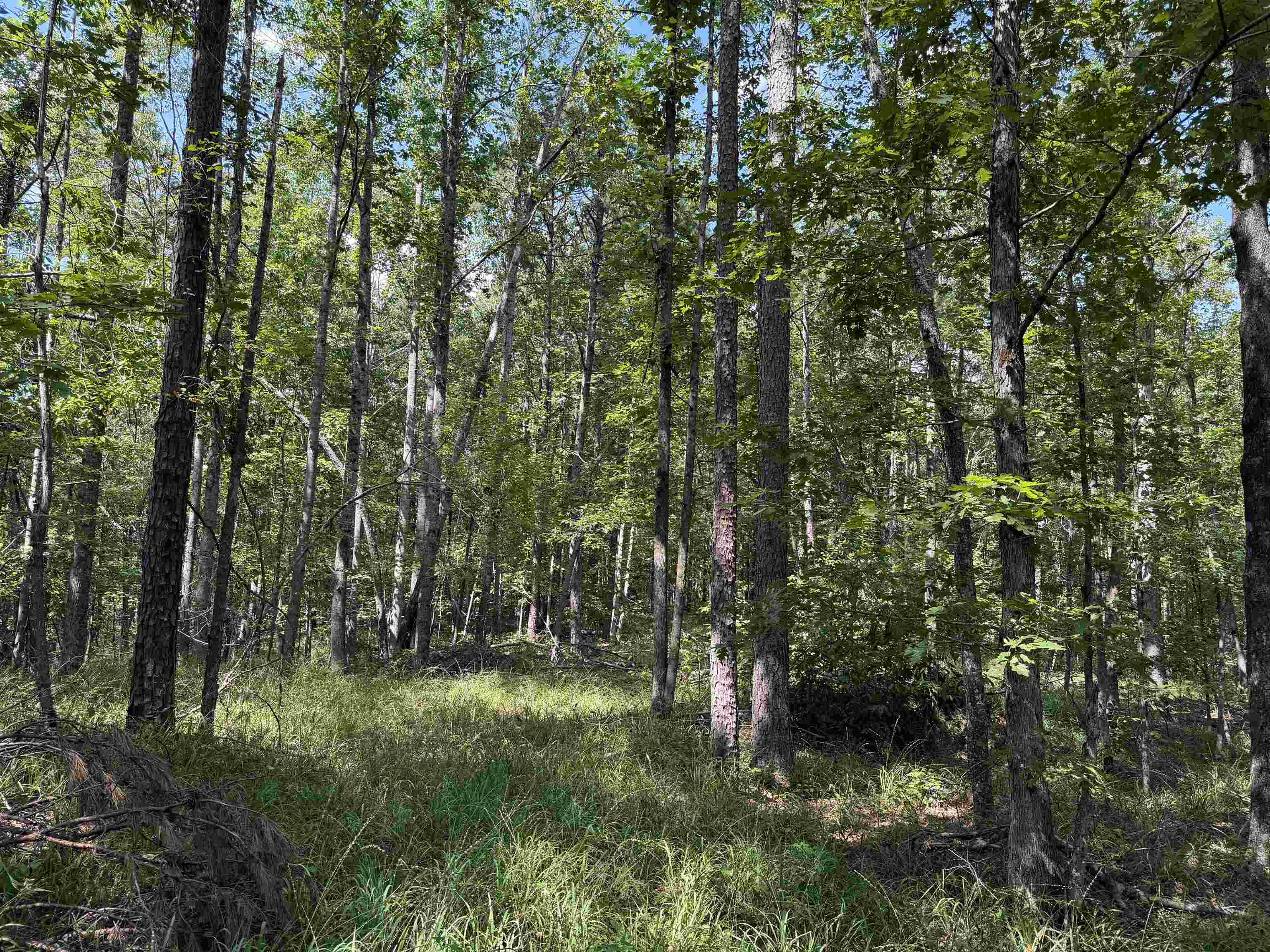 0 Megan Ln Property Photo 13