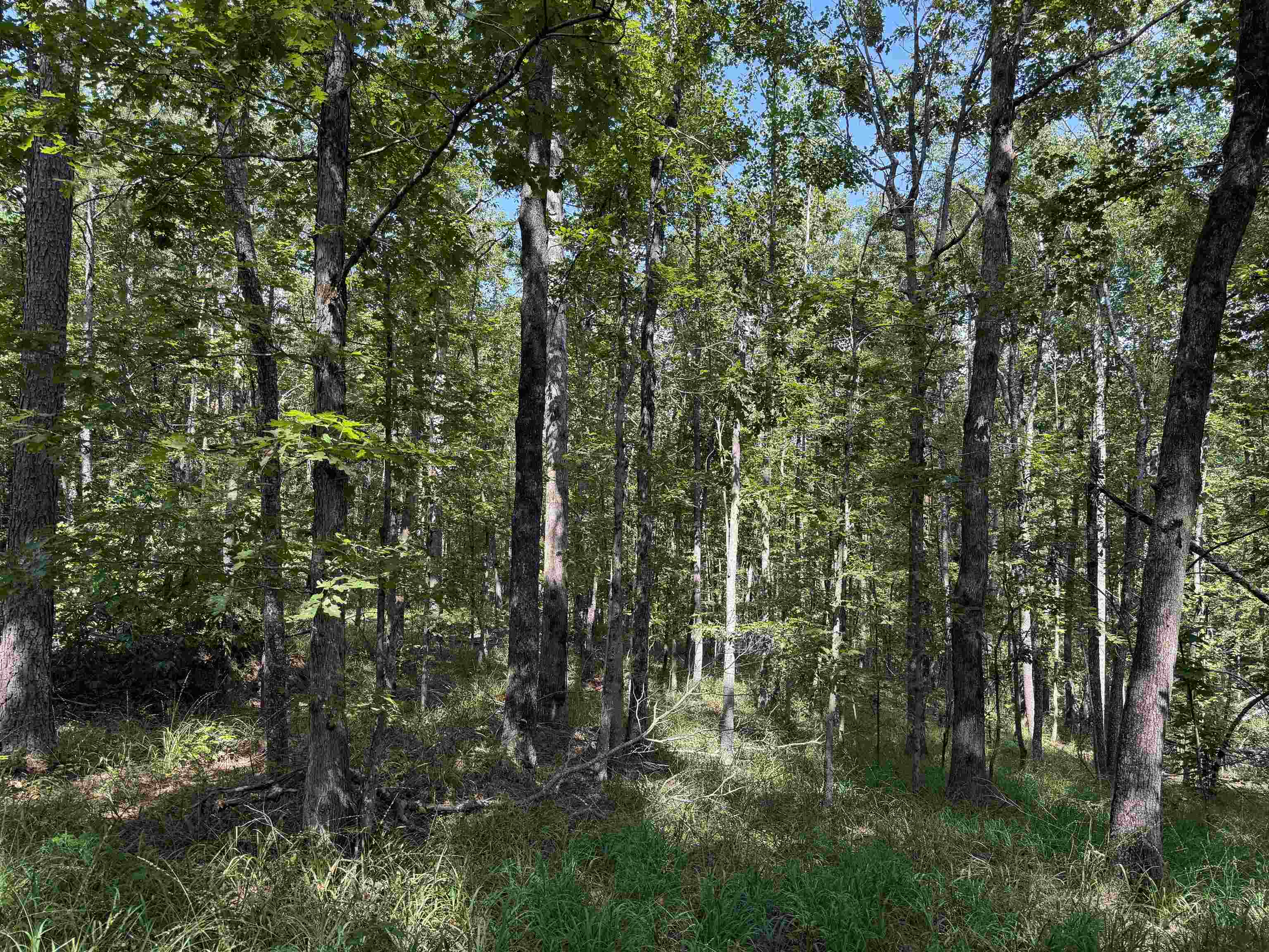 0 Megan Ln Property Photo 14