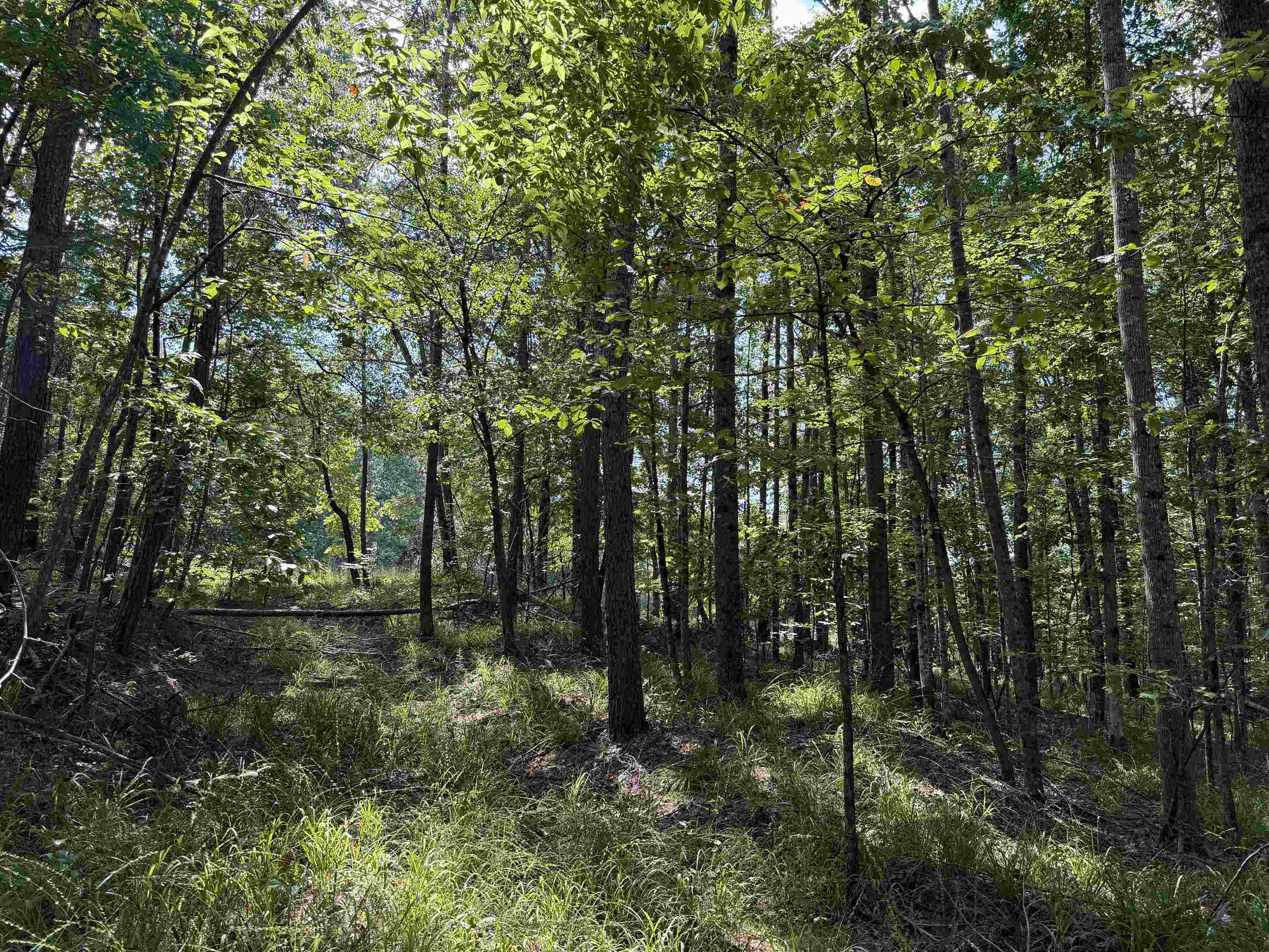 0 Megan Ln Property Photo 15