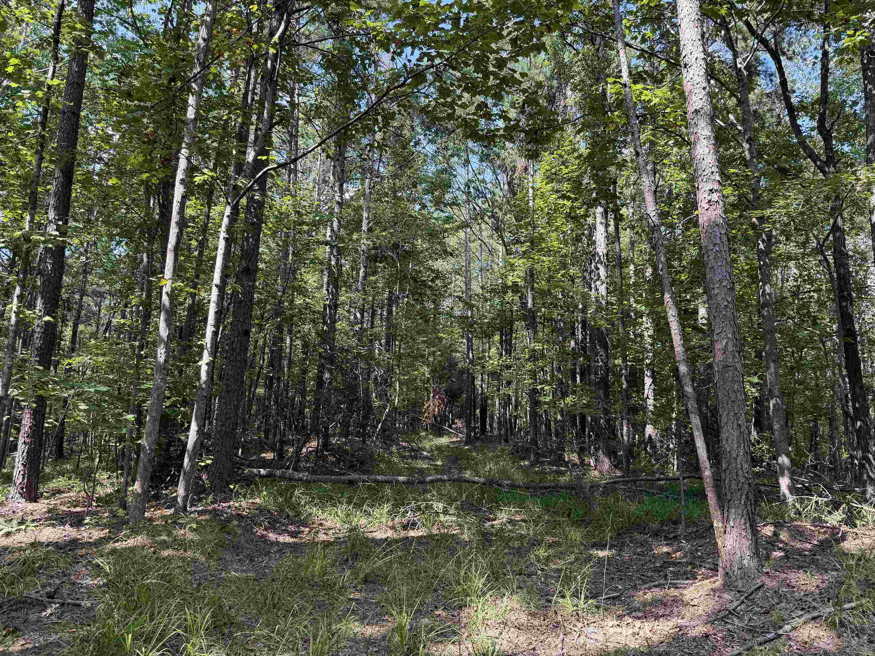 0 Megan Ln Property Photo 16