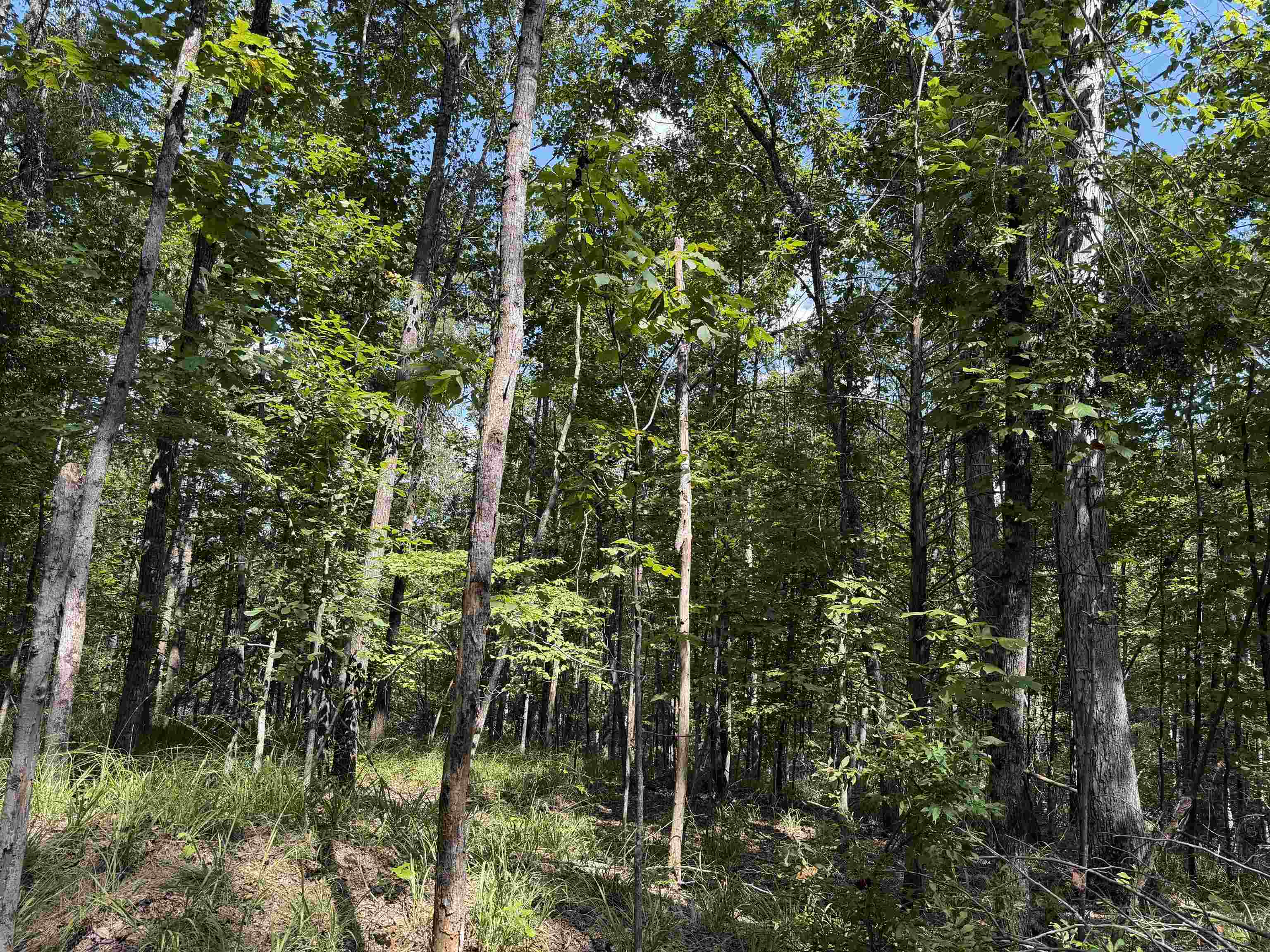 0 Megan Ln Property Photo 17