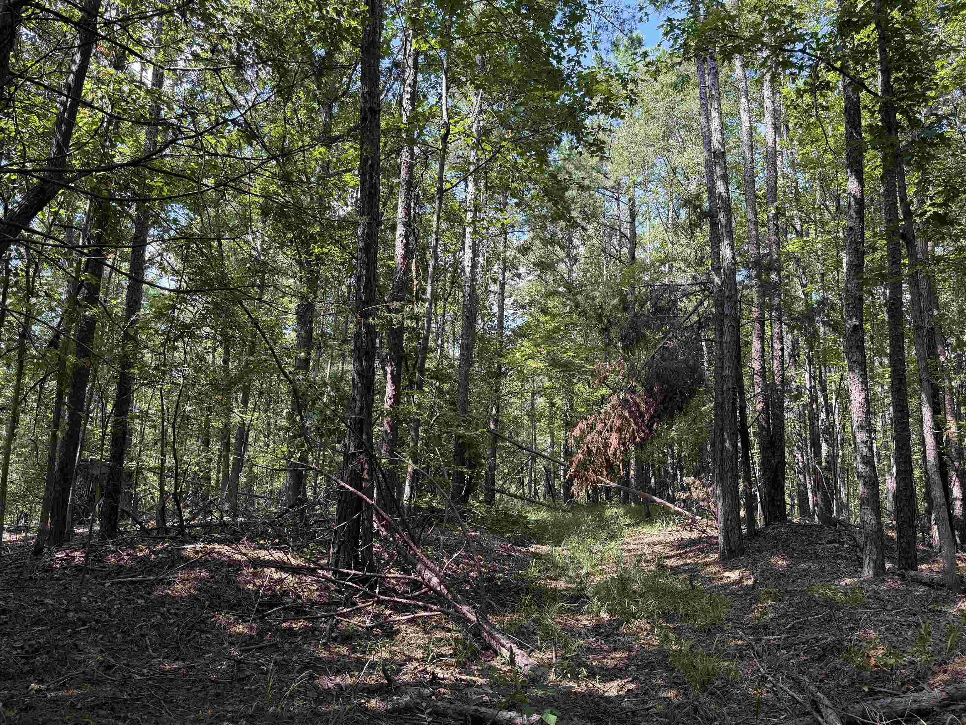 0 Megan Ln Property Photo 18