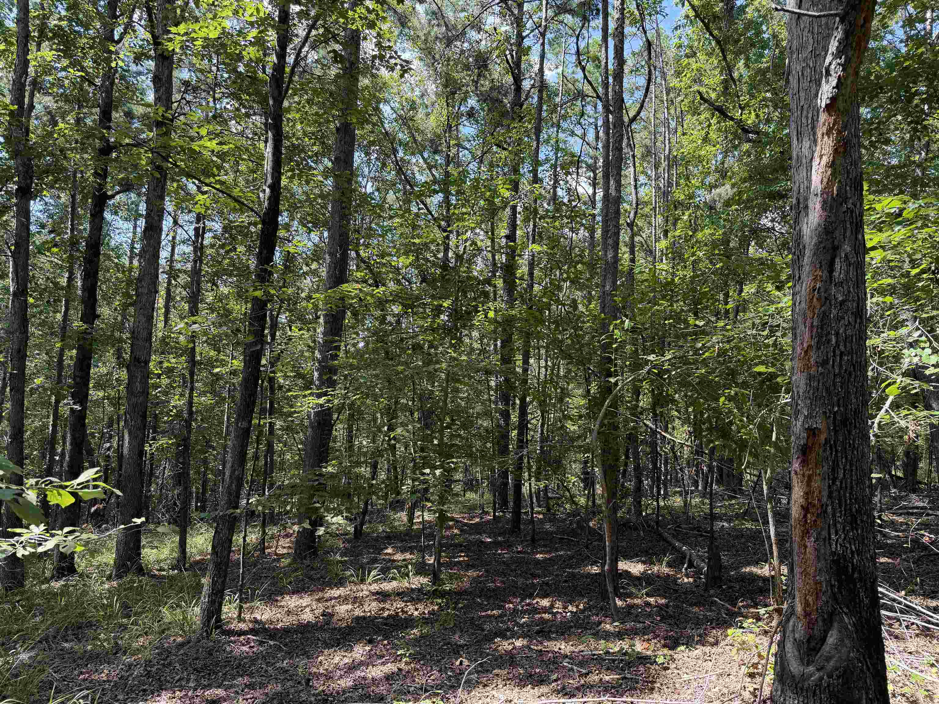 0 Megan Ln Property Photo 19