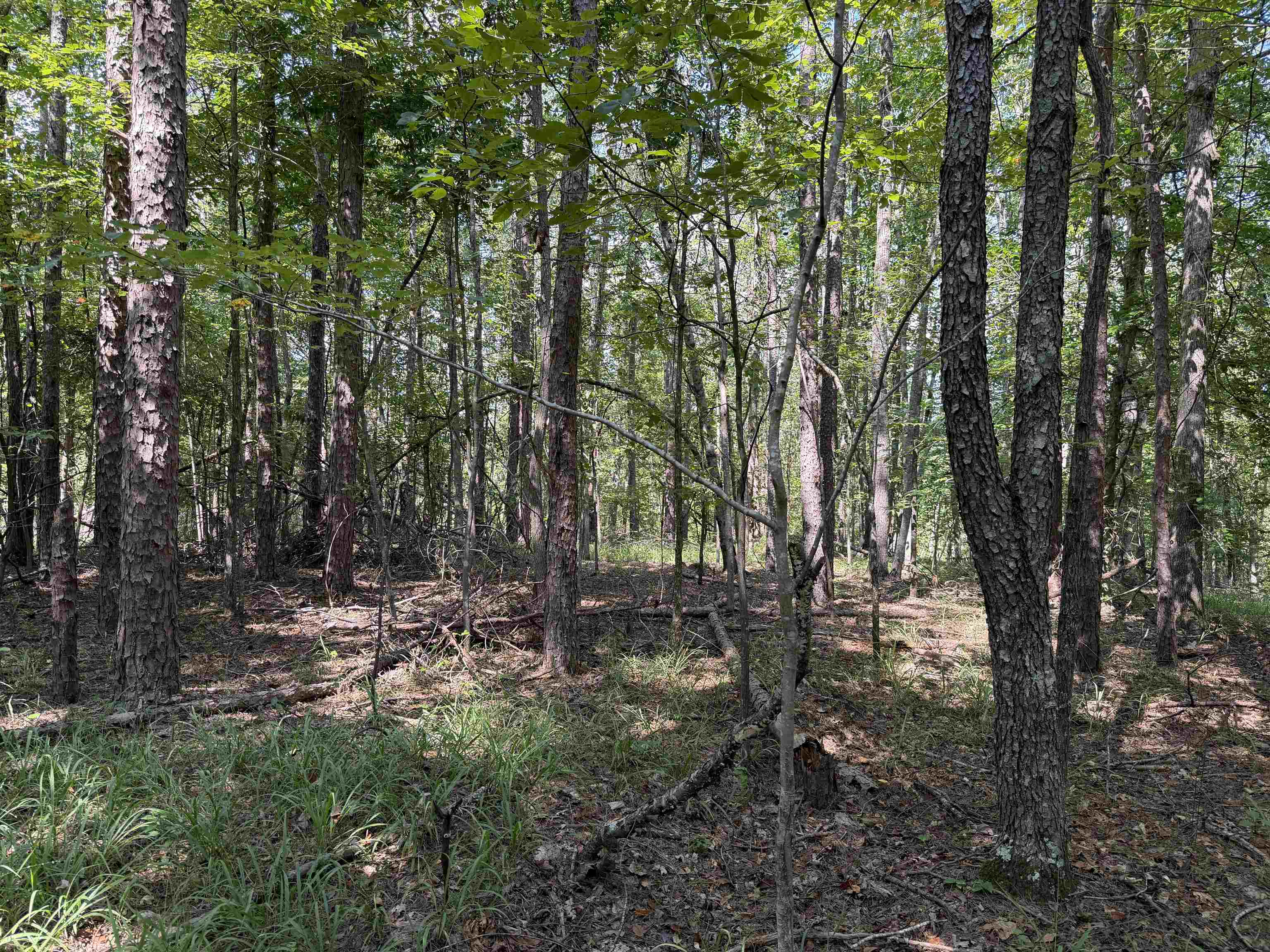 0 Megan Ln Property Photo 20