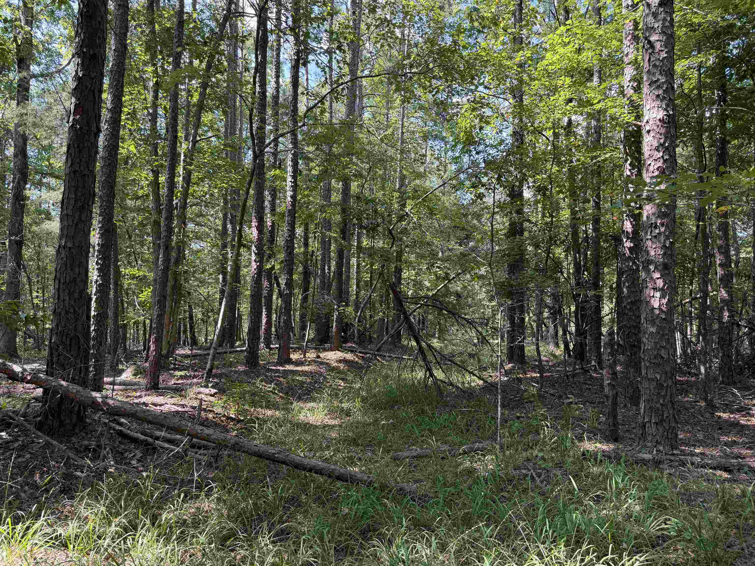 0 Megan Ln Property Photo 21