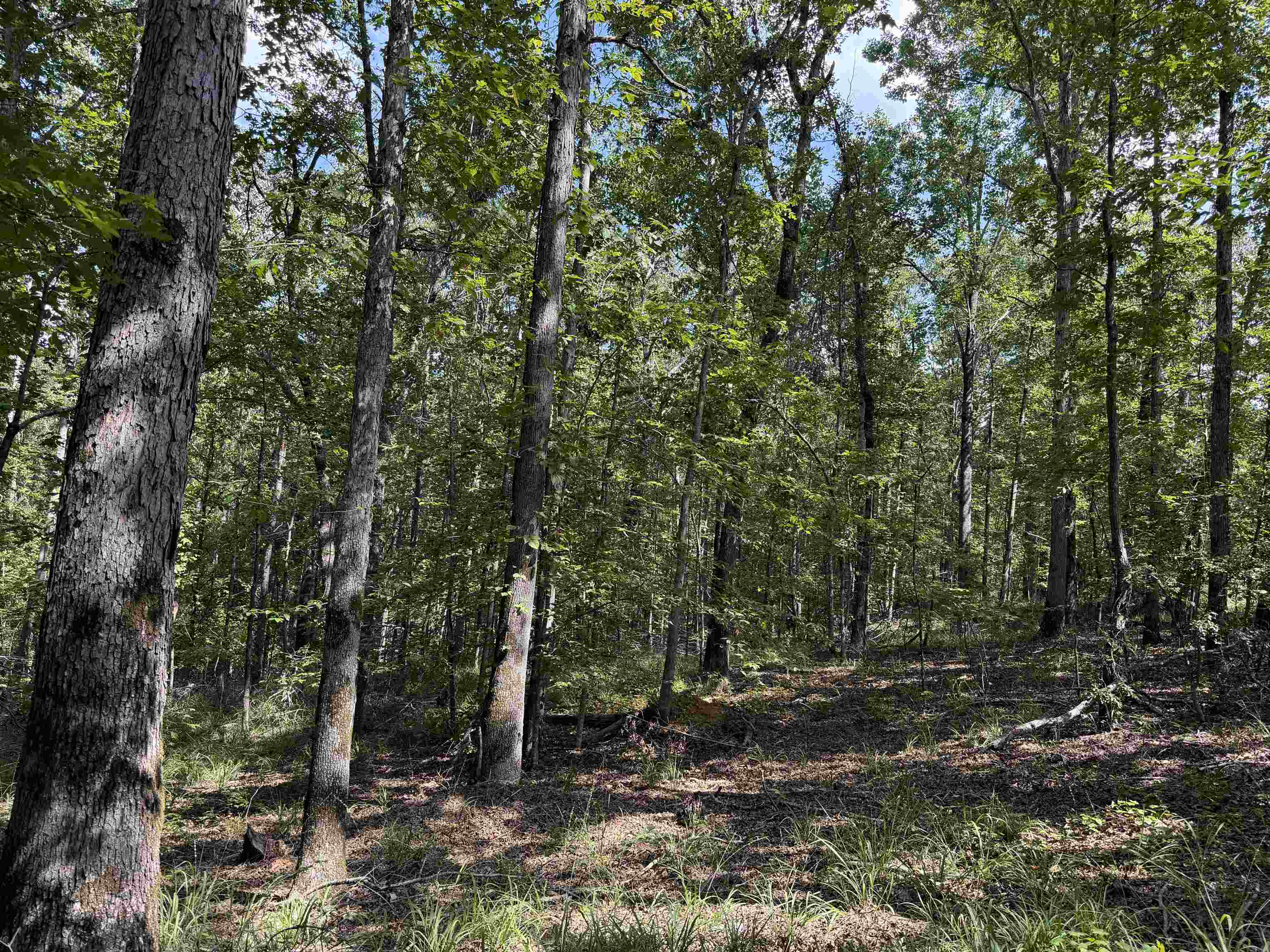 0 Megan Ln Property Photo 22