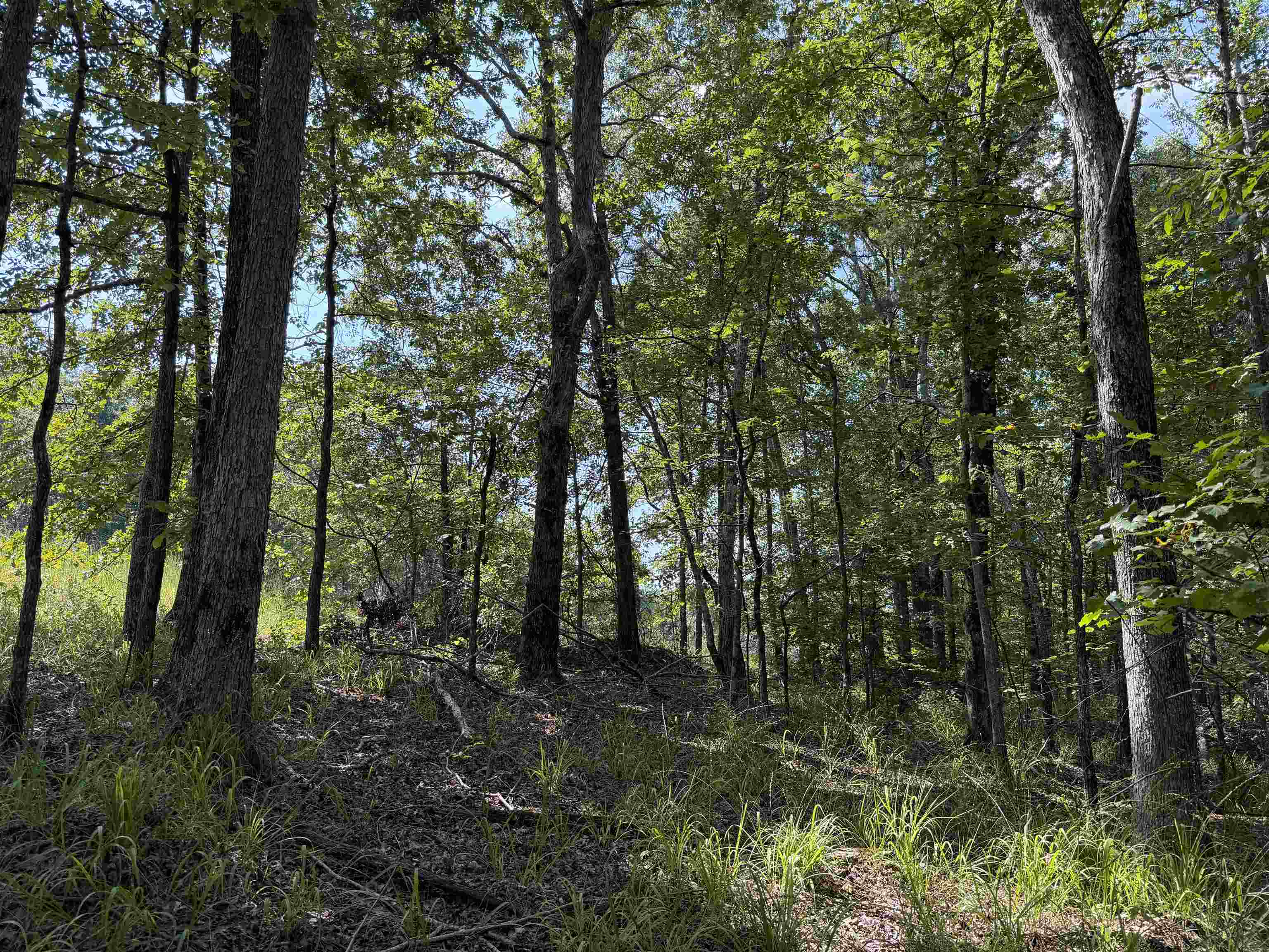 0 Megan Ln Property Photo 23