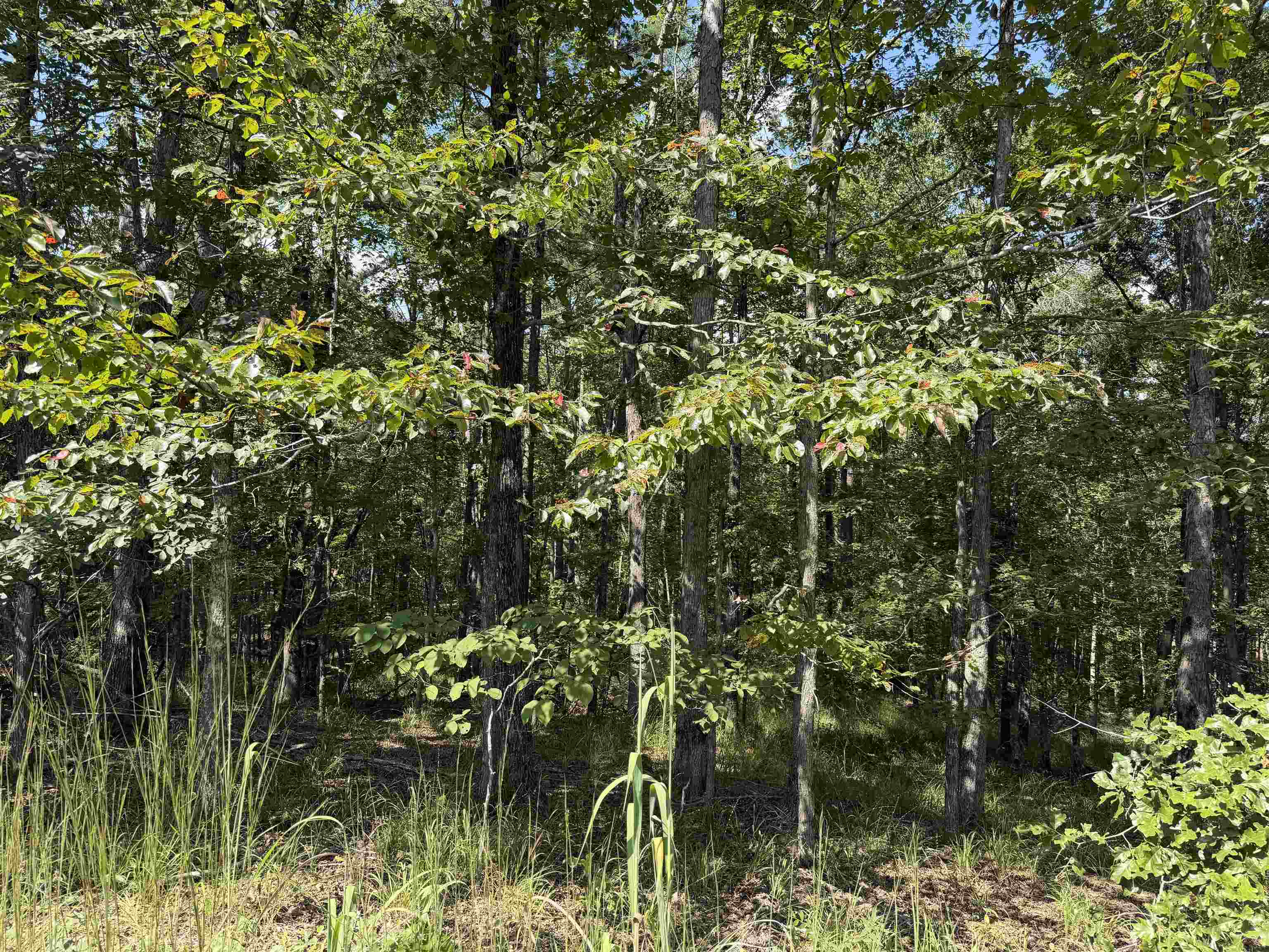 0 Megan Ln Property Photo 25