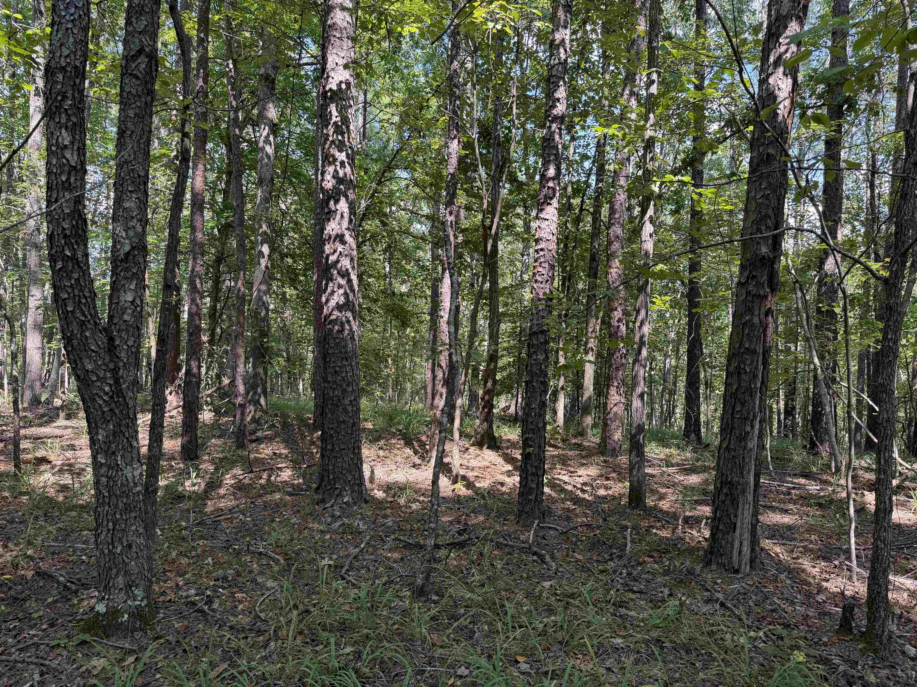 0 Megan Ln Property Photo 34