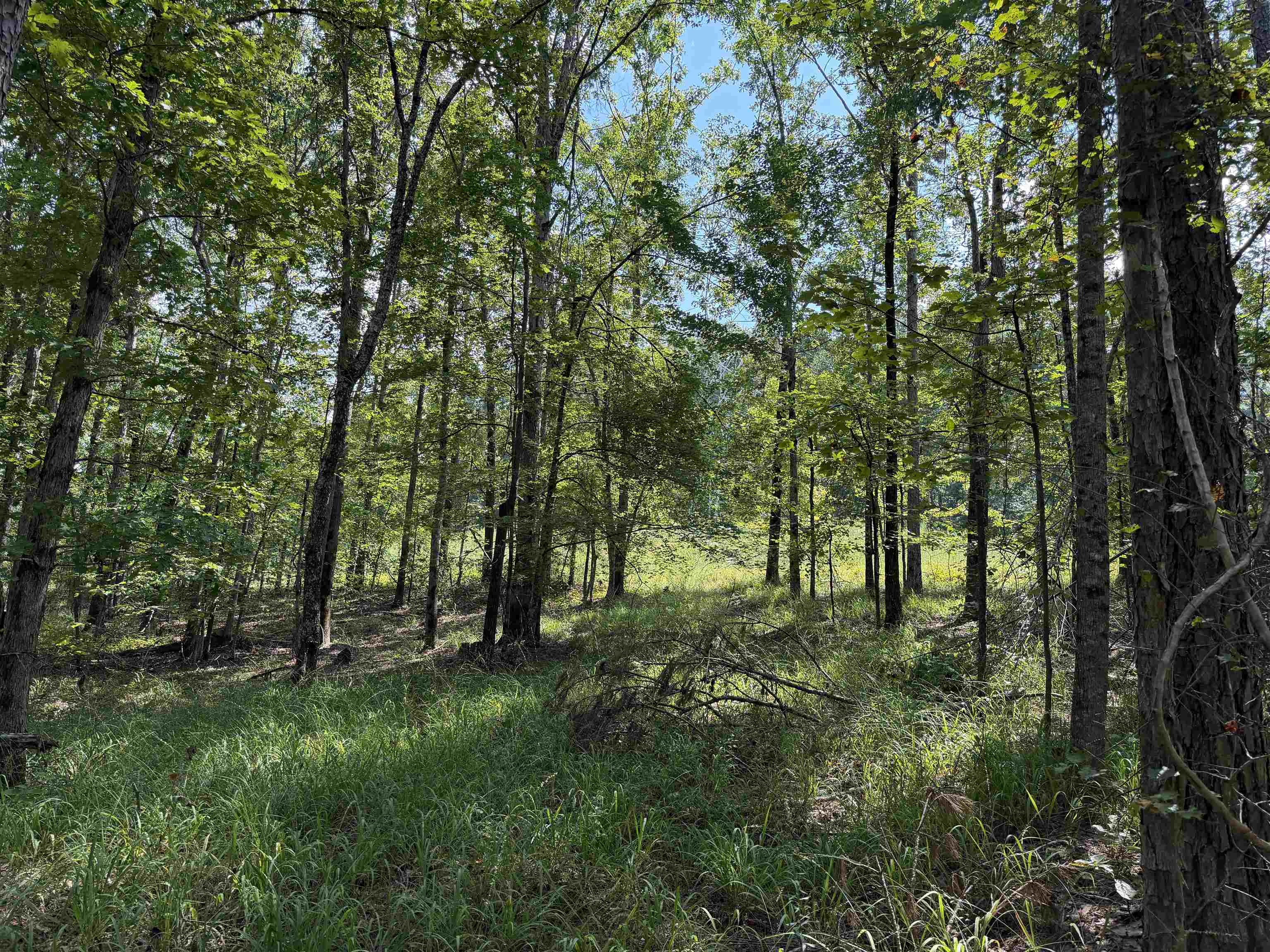 0 Megan Ln Property Photo 35