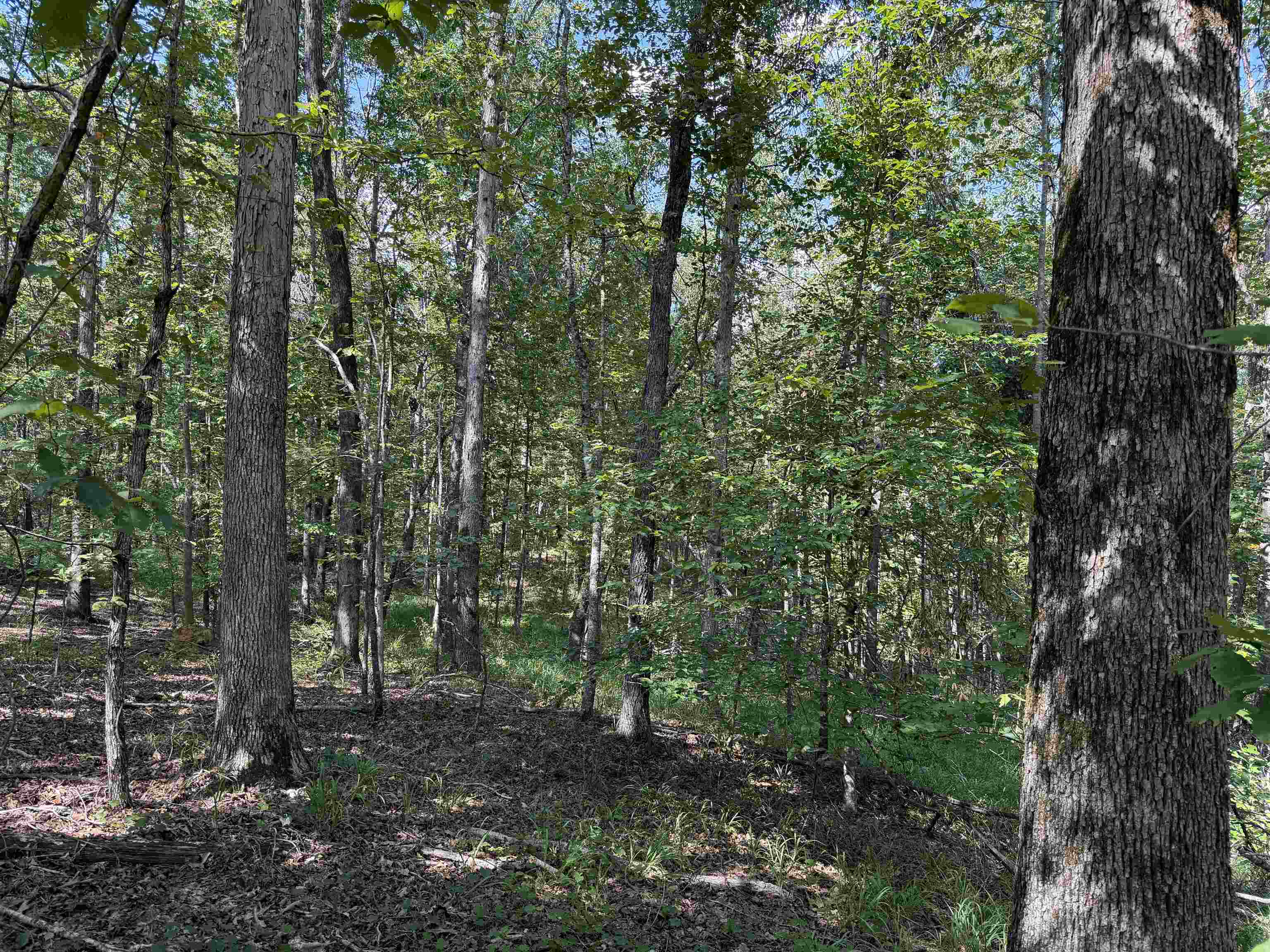 0 Megan Ln Property Photo 37