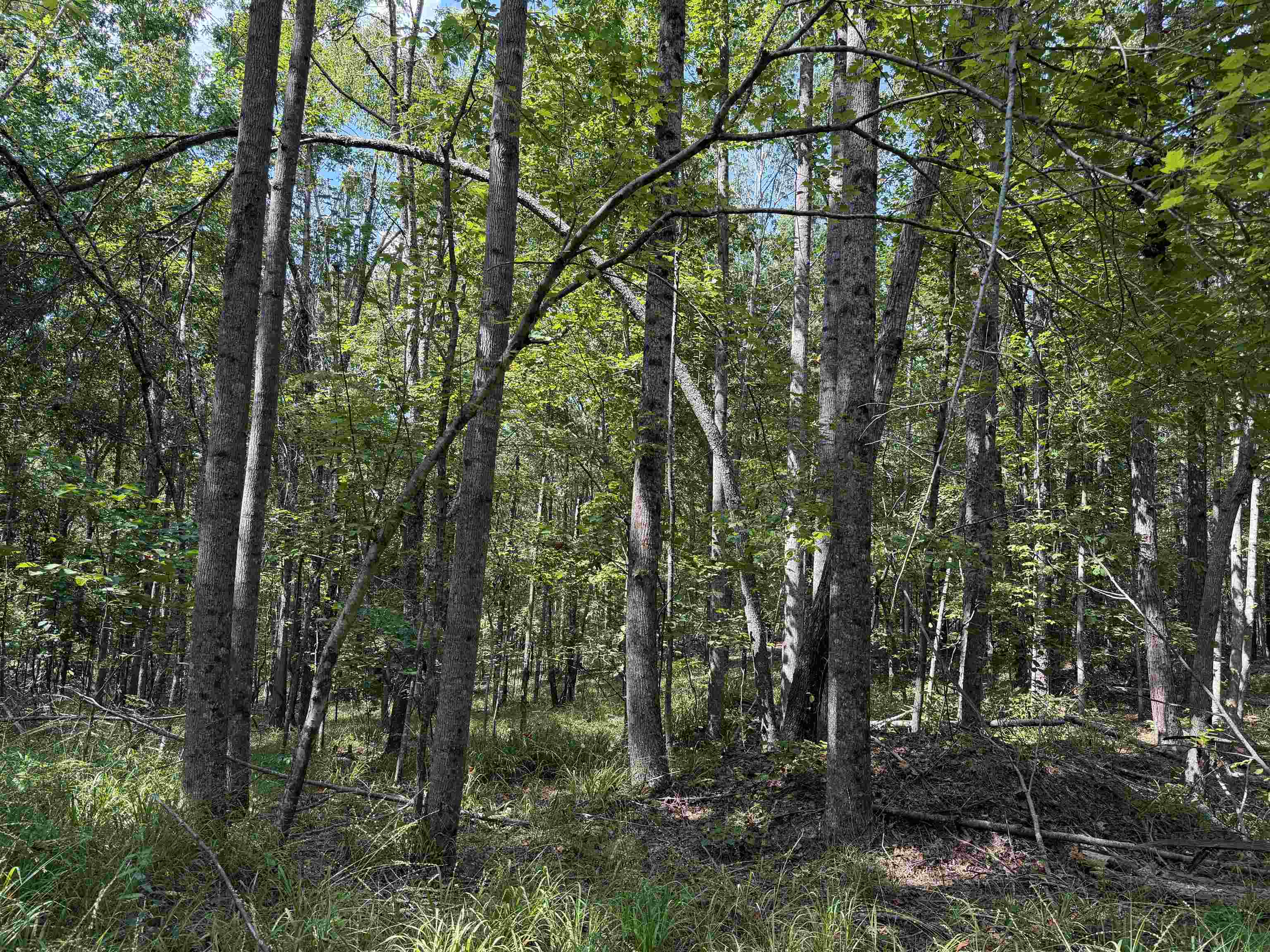 0 Megan Ln Property Photo 38