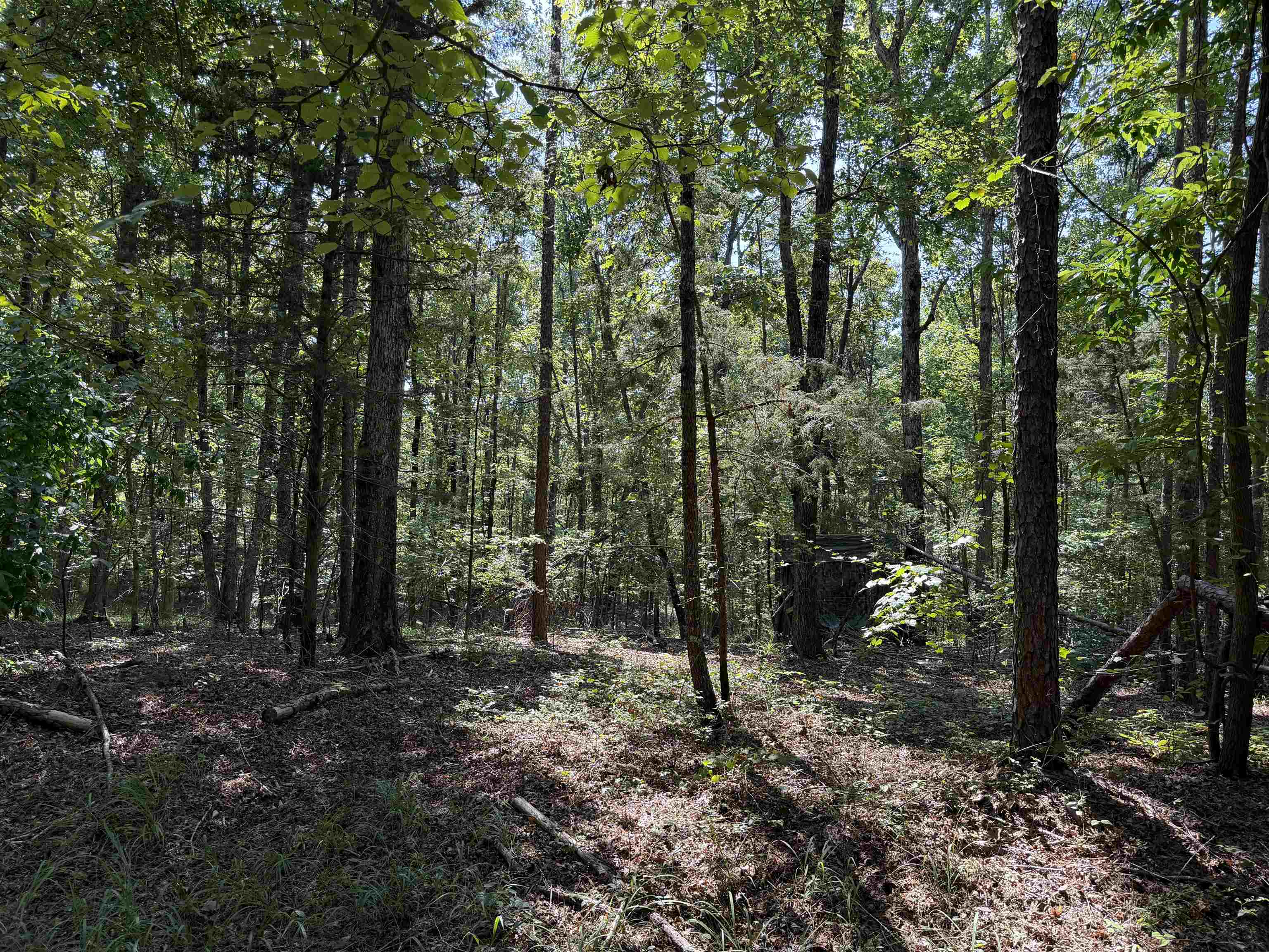 0 Megan Ln Property Photo 39