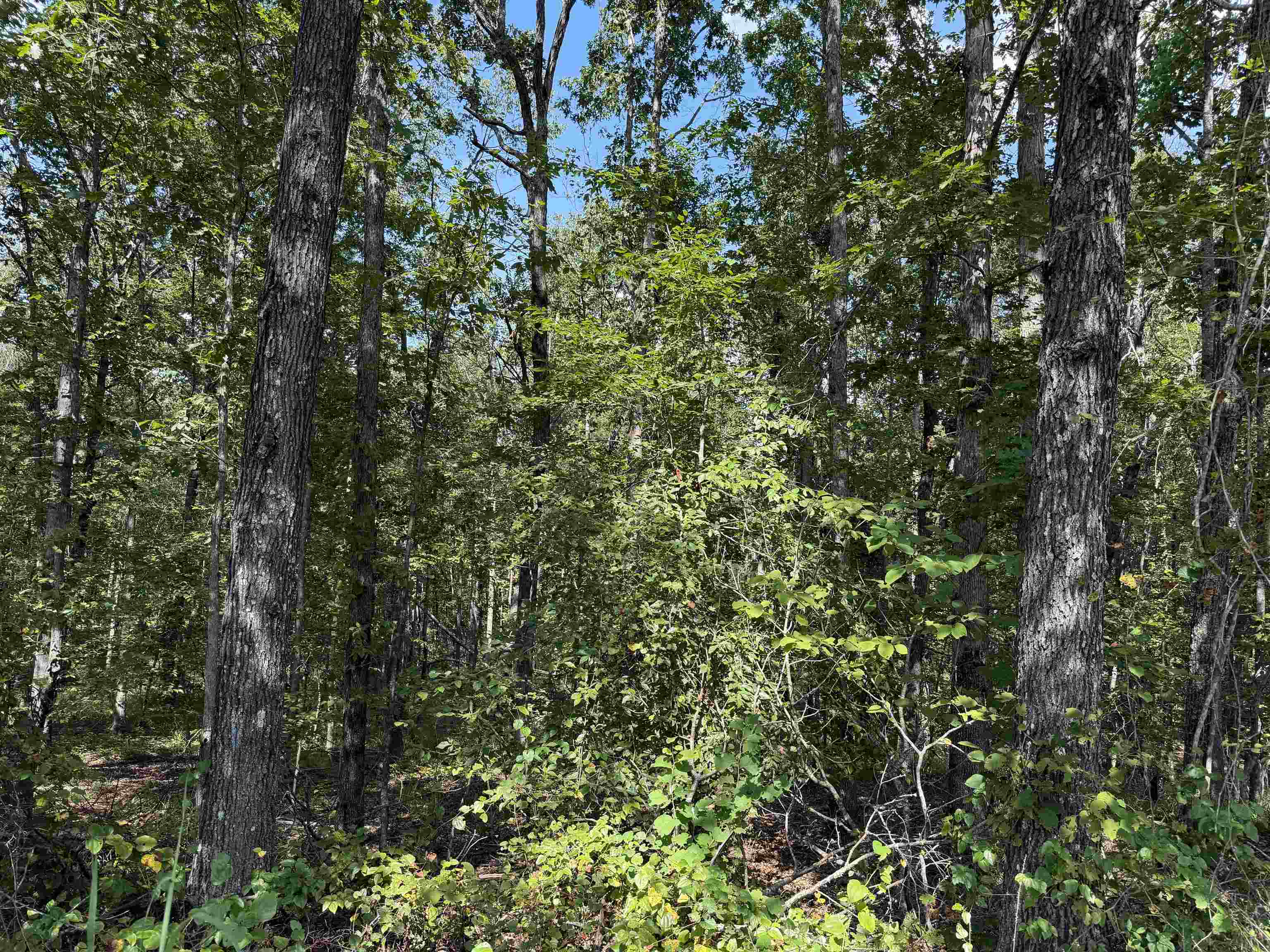 0 Megan Ln Property Photo 40