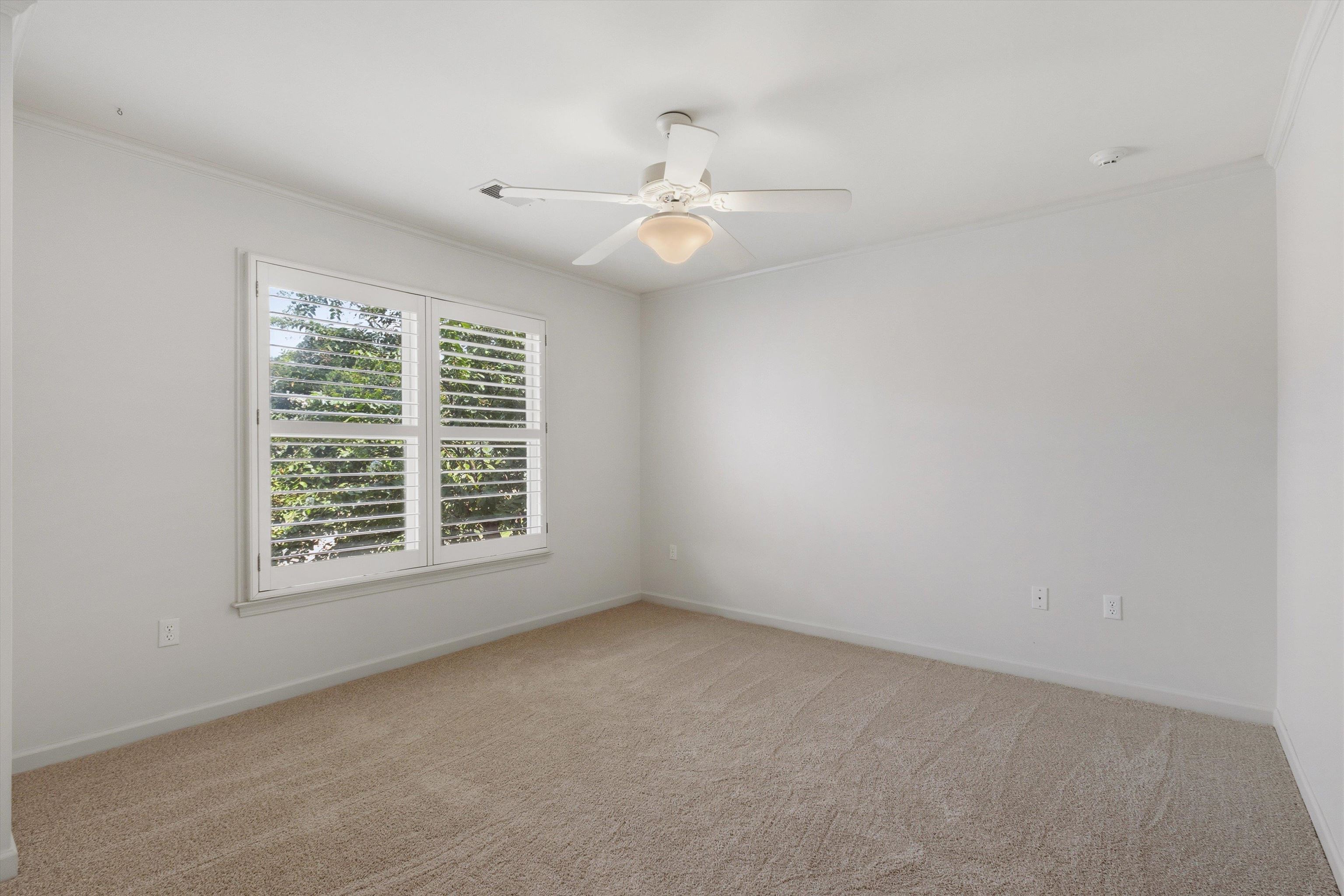 8475 Friarlynch Ln Property Photo 28