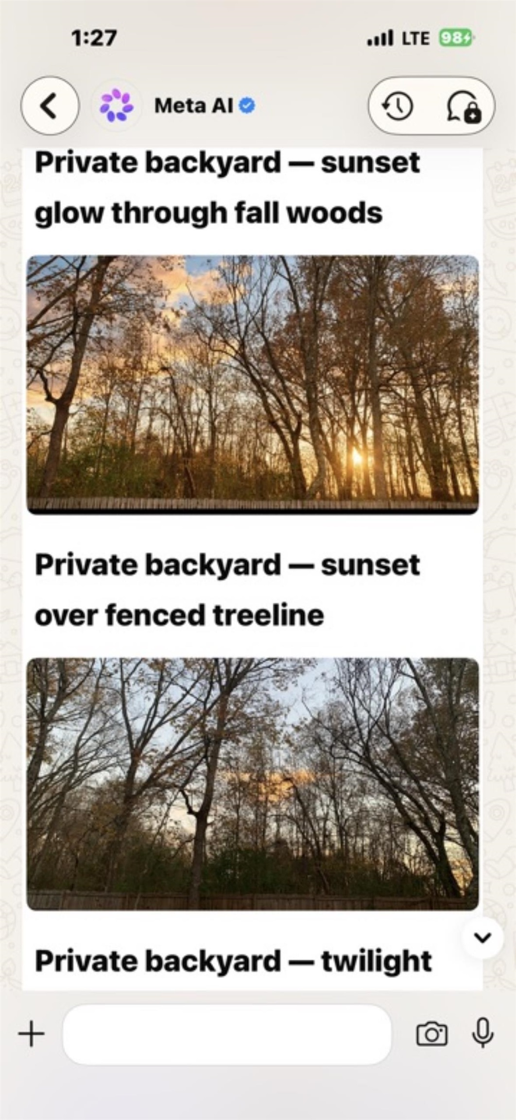 459 Chickasaw Land Way Property Photo 14