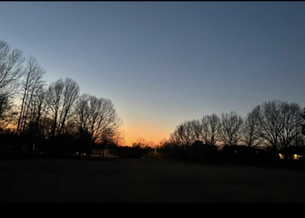 459 Chickasaw Land Way Property Photo 18