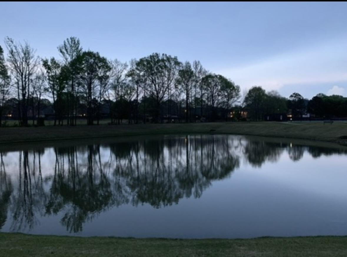 459 Chickasaw Land Way Property Photo 20