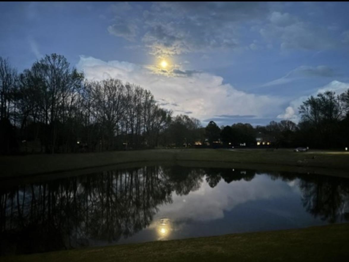 459 Chickasaw Land Way Property Photo 21