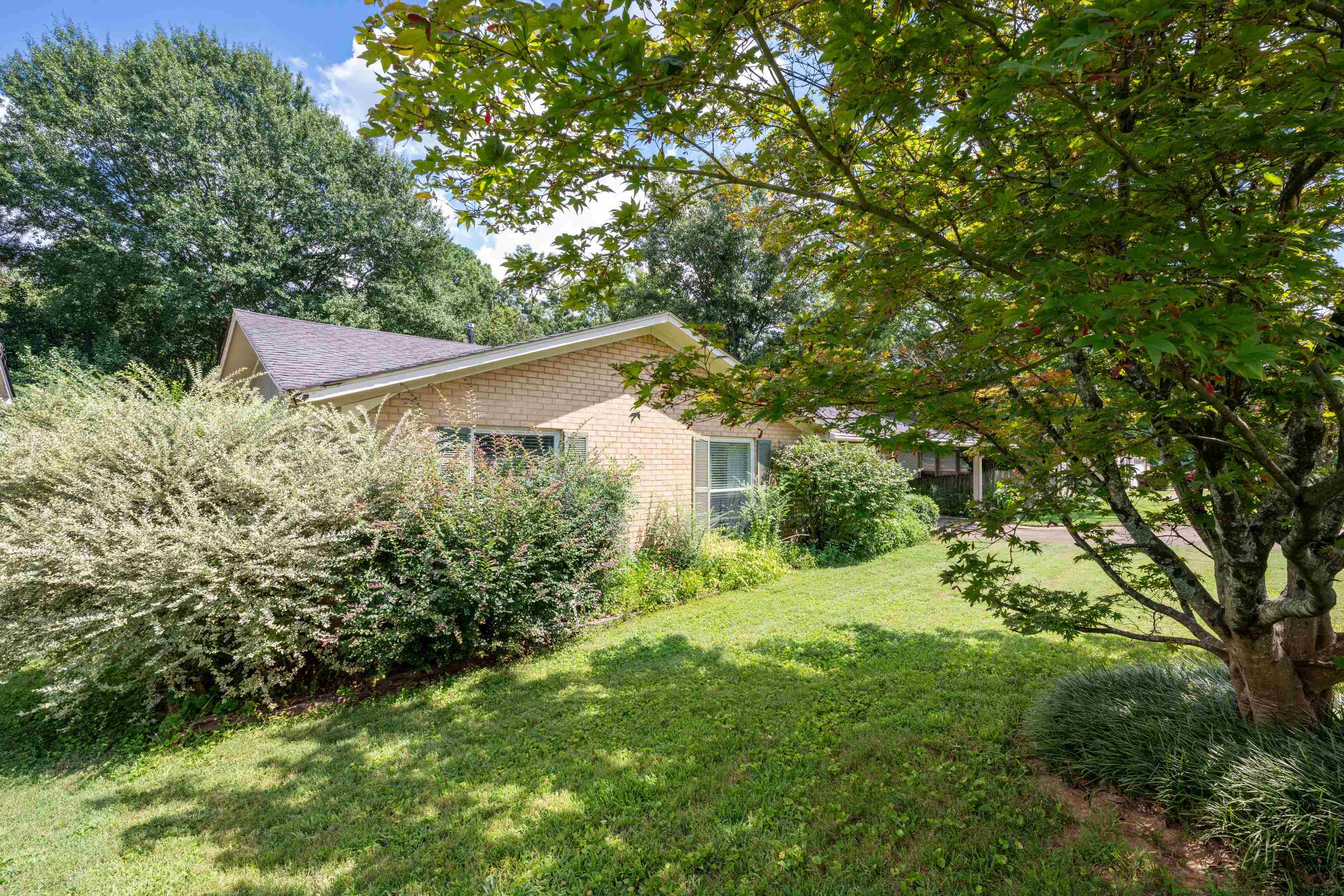 3218 Sycamore View Dr Property Photo 4