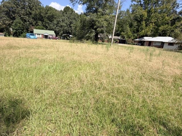 Gaylon Dr Property Photo 19