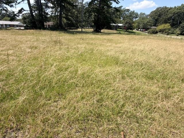 Gaylon Dr Property Photo 21