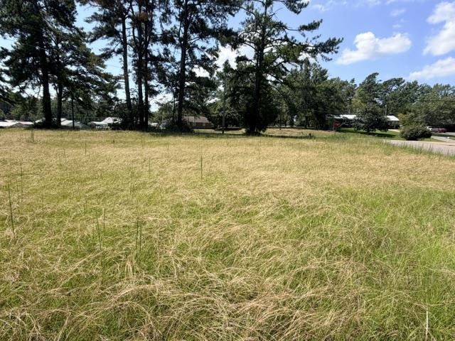 Gaylon Dr Property Photo 22