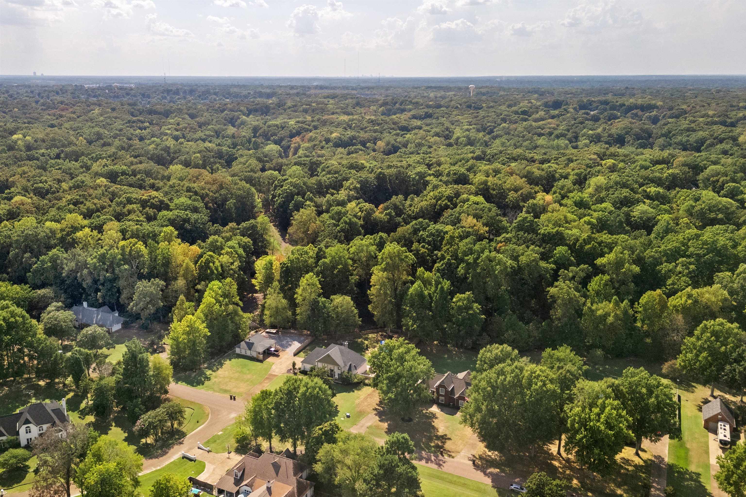 3851 Davies Manor Dr Property Photo 37