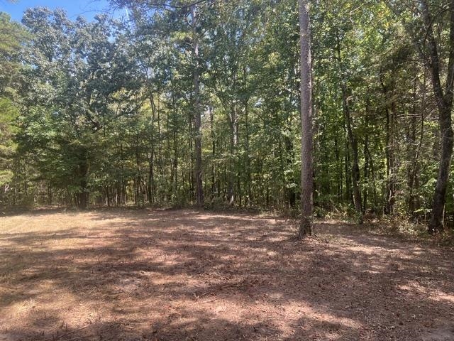 00 Hannis Rd Property Photo 4