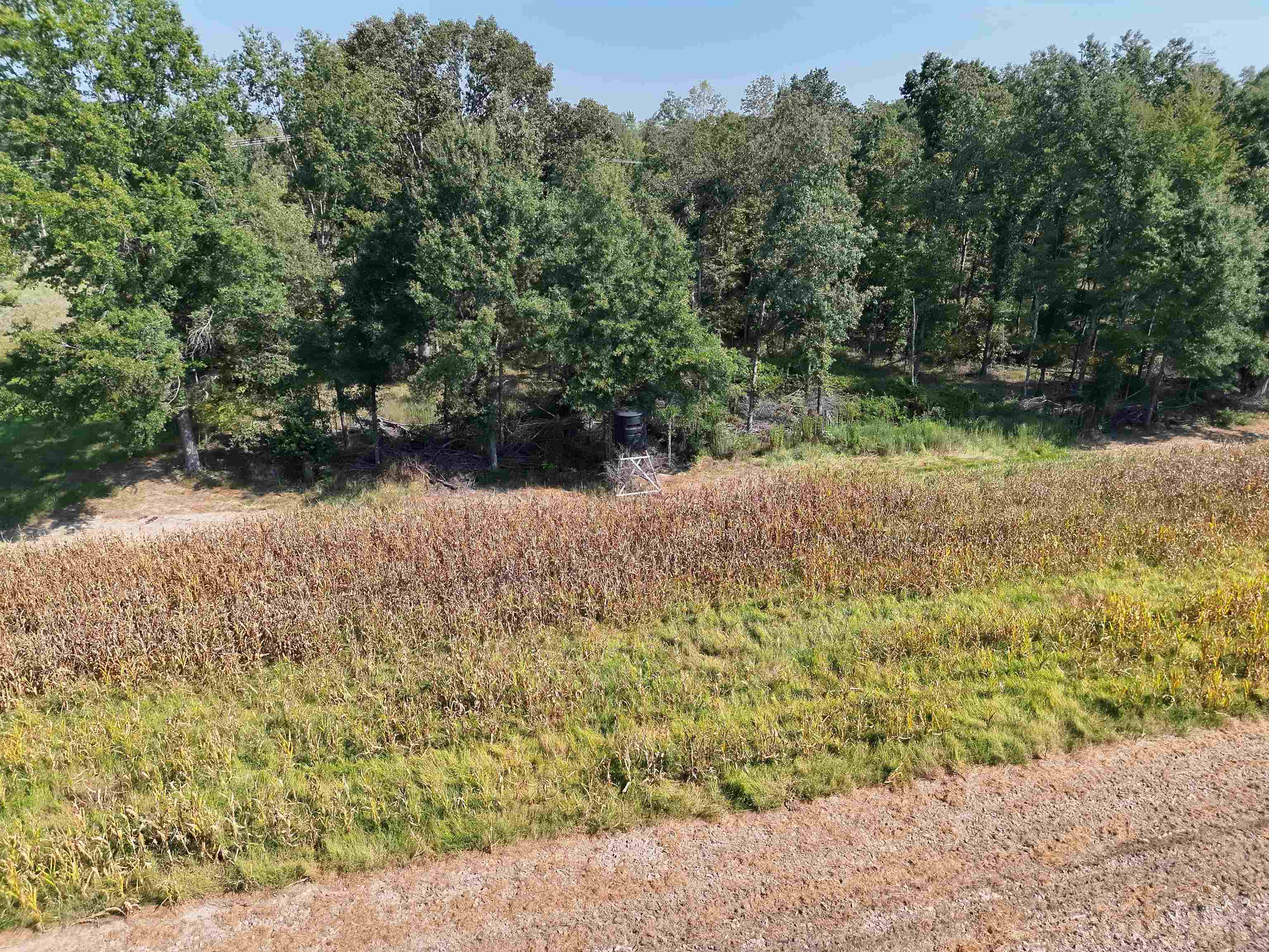 00 Estonallie Rd Property Photo 5