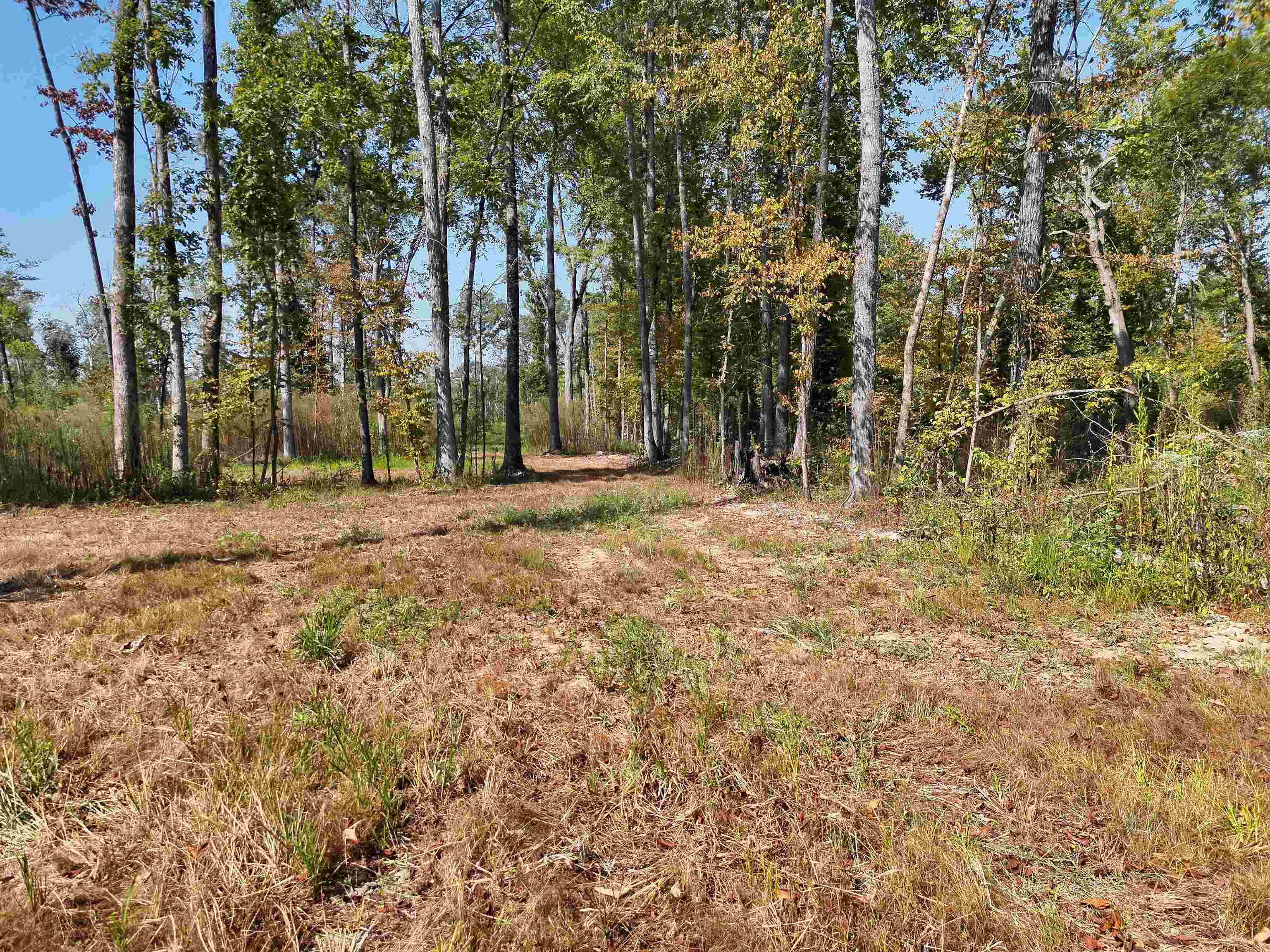 00 Estonallie Rd Property Photo 8