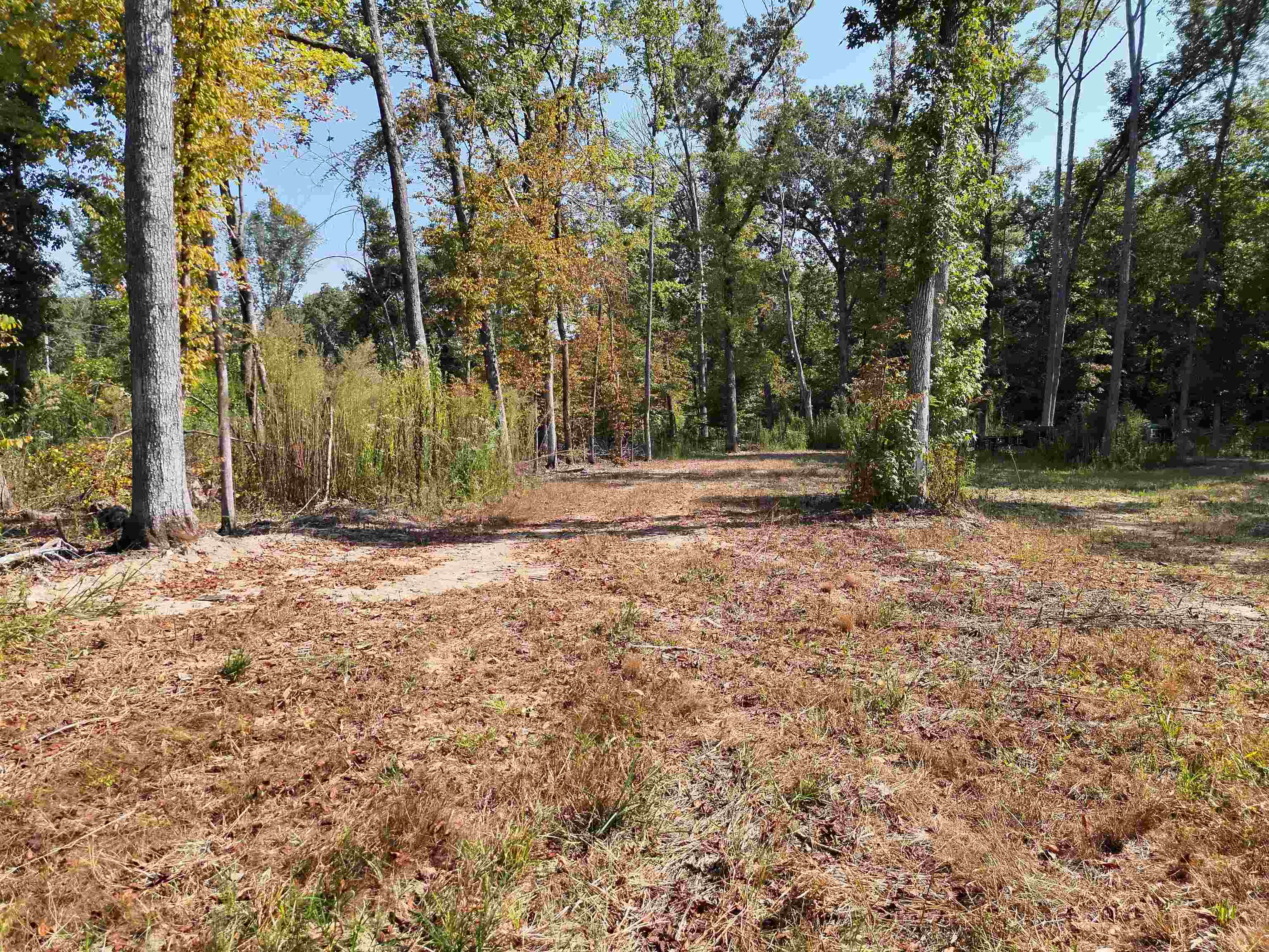 00 Estonallie Rd Property Photo 9
