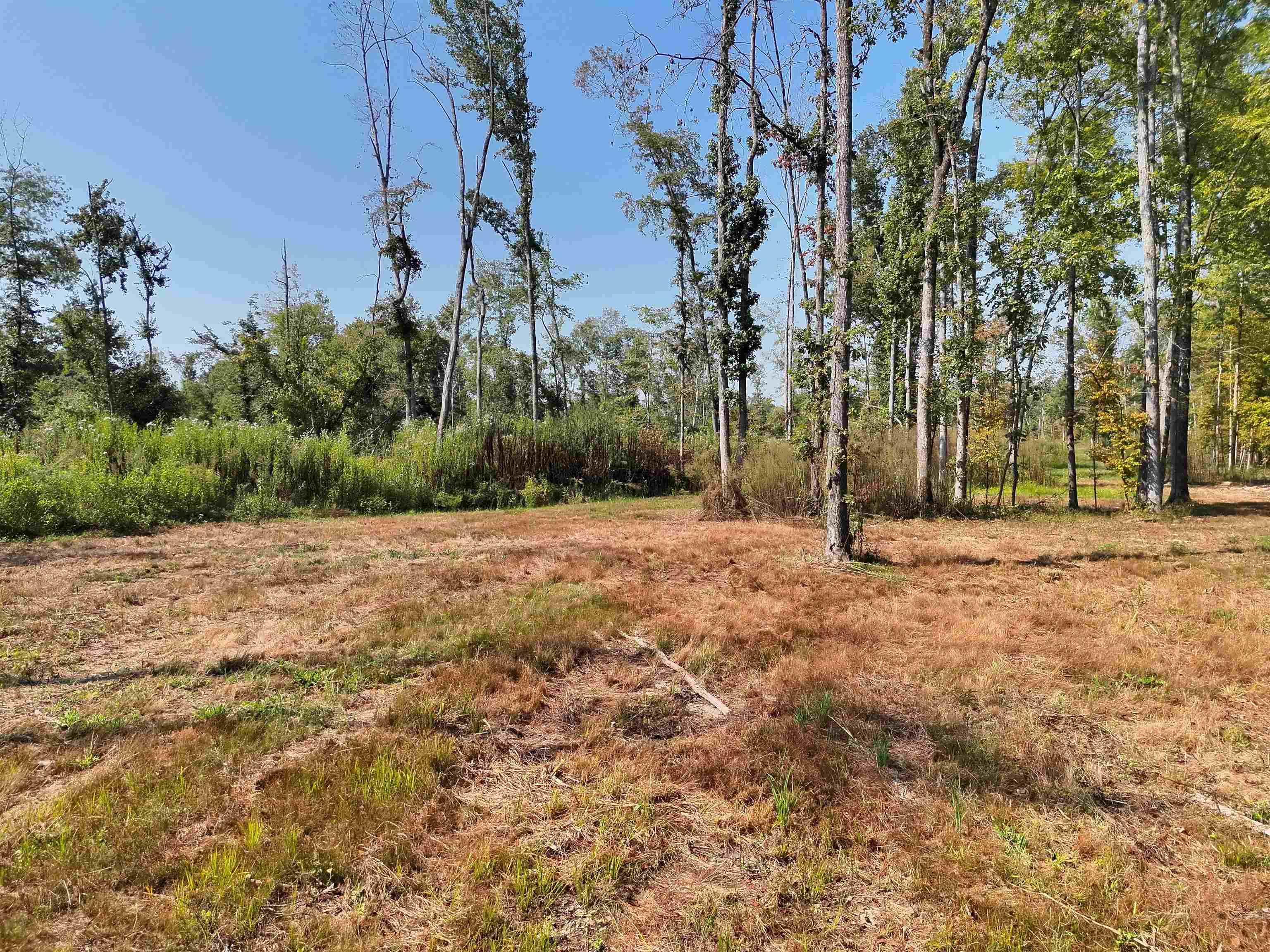 00 Estonallie Rd Property Photo 10