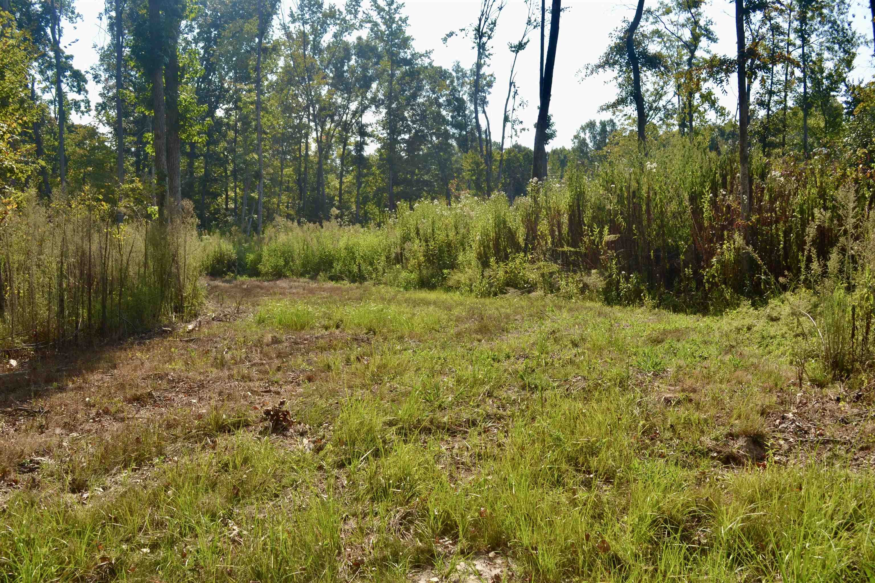 00 Estonallie Rd Property Photo 11