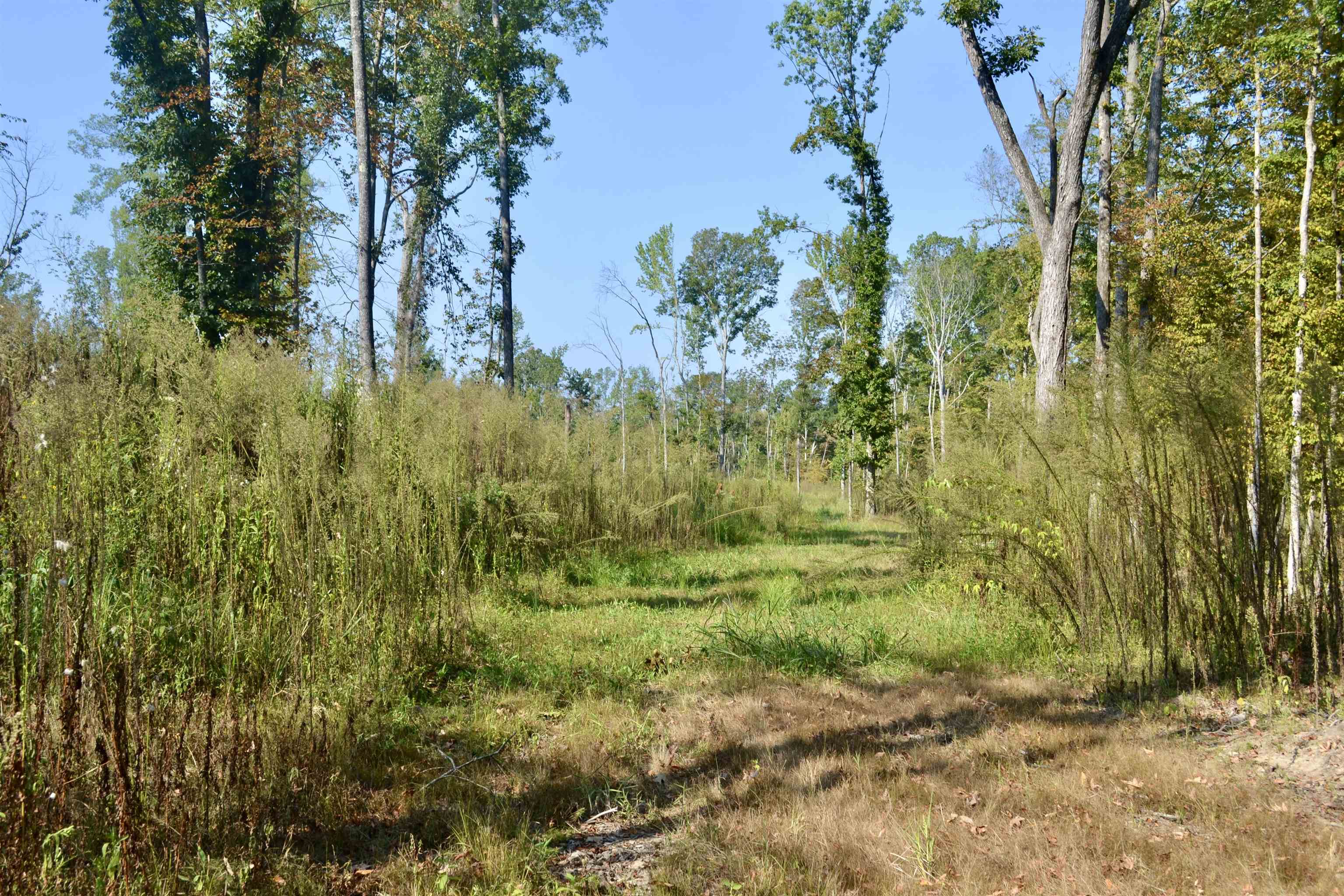 00 Estonallie Rd Property Photo 12