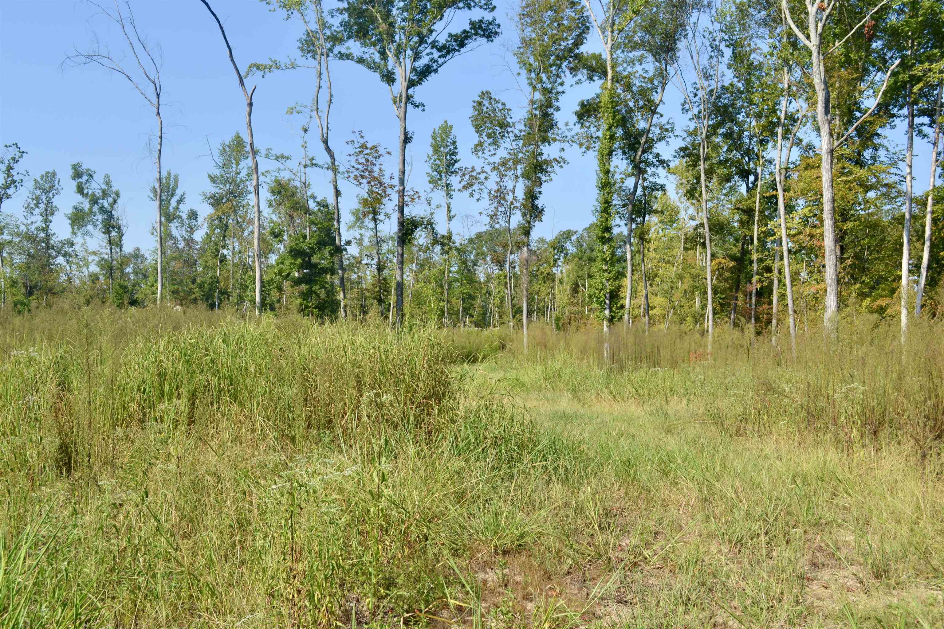 00 Estonallie Rd Property Photo 13