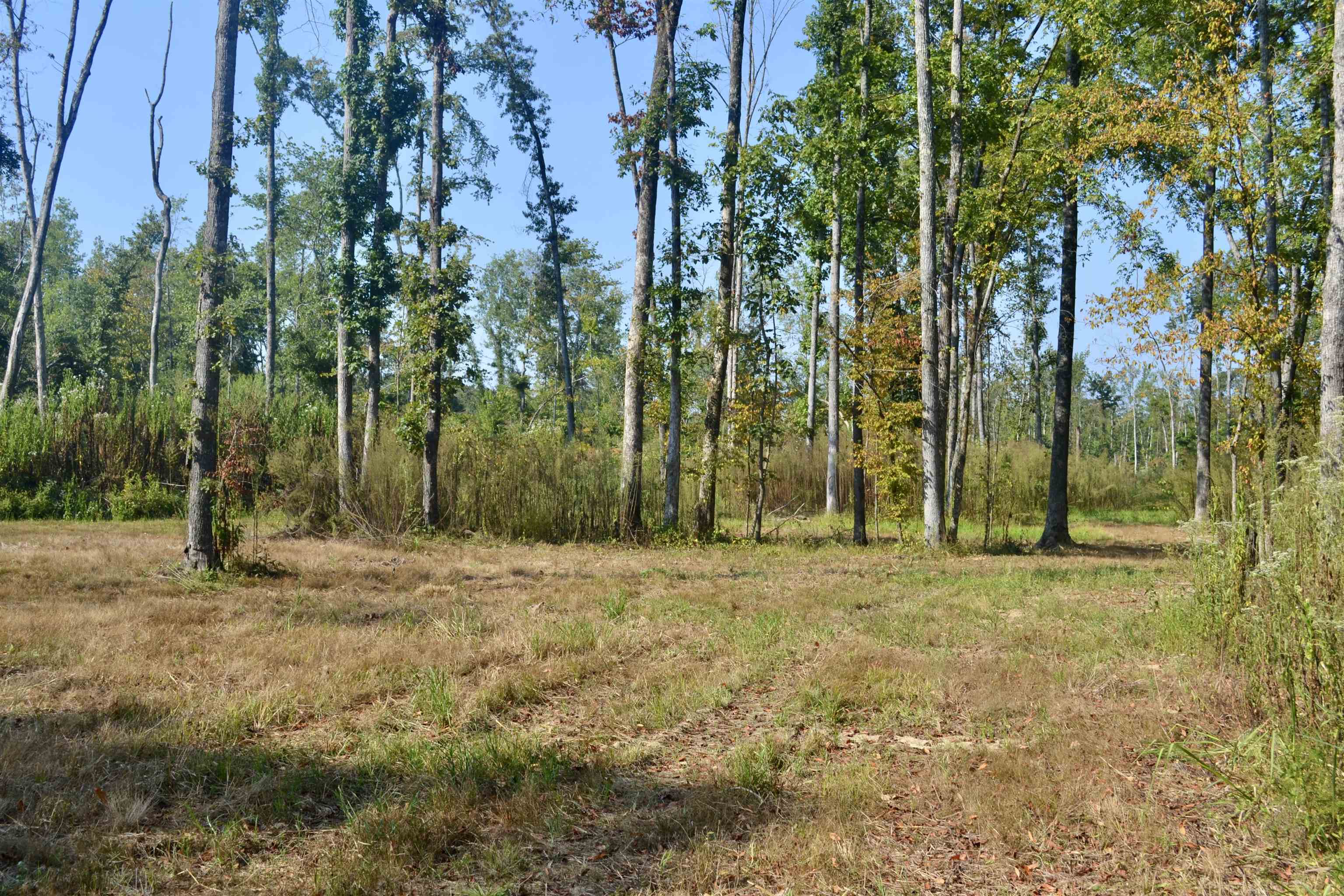 00 Estonallie Rd Property Photo 14
