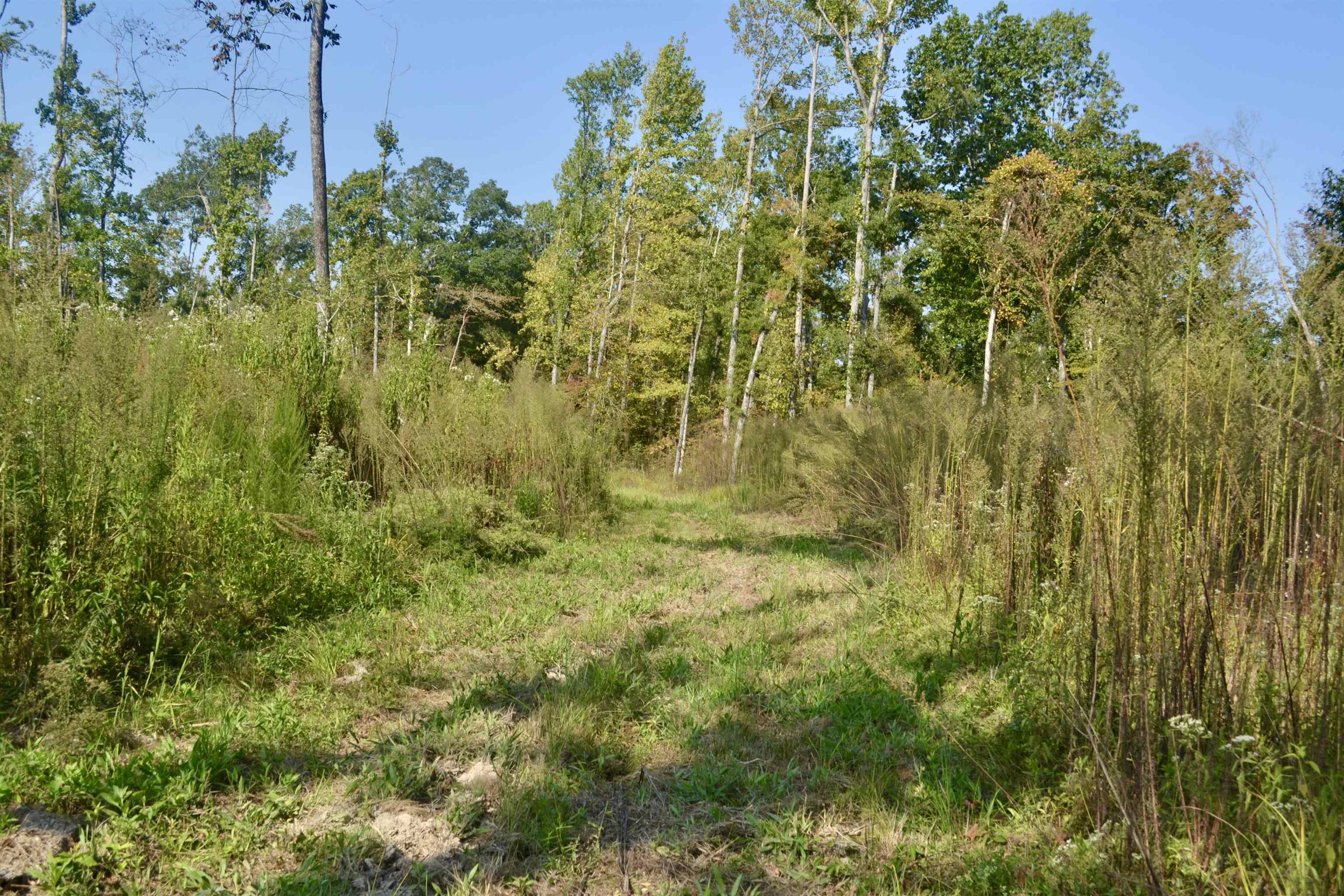 00 Estonallie Rd Property Photo 15