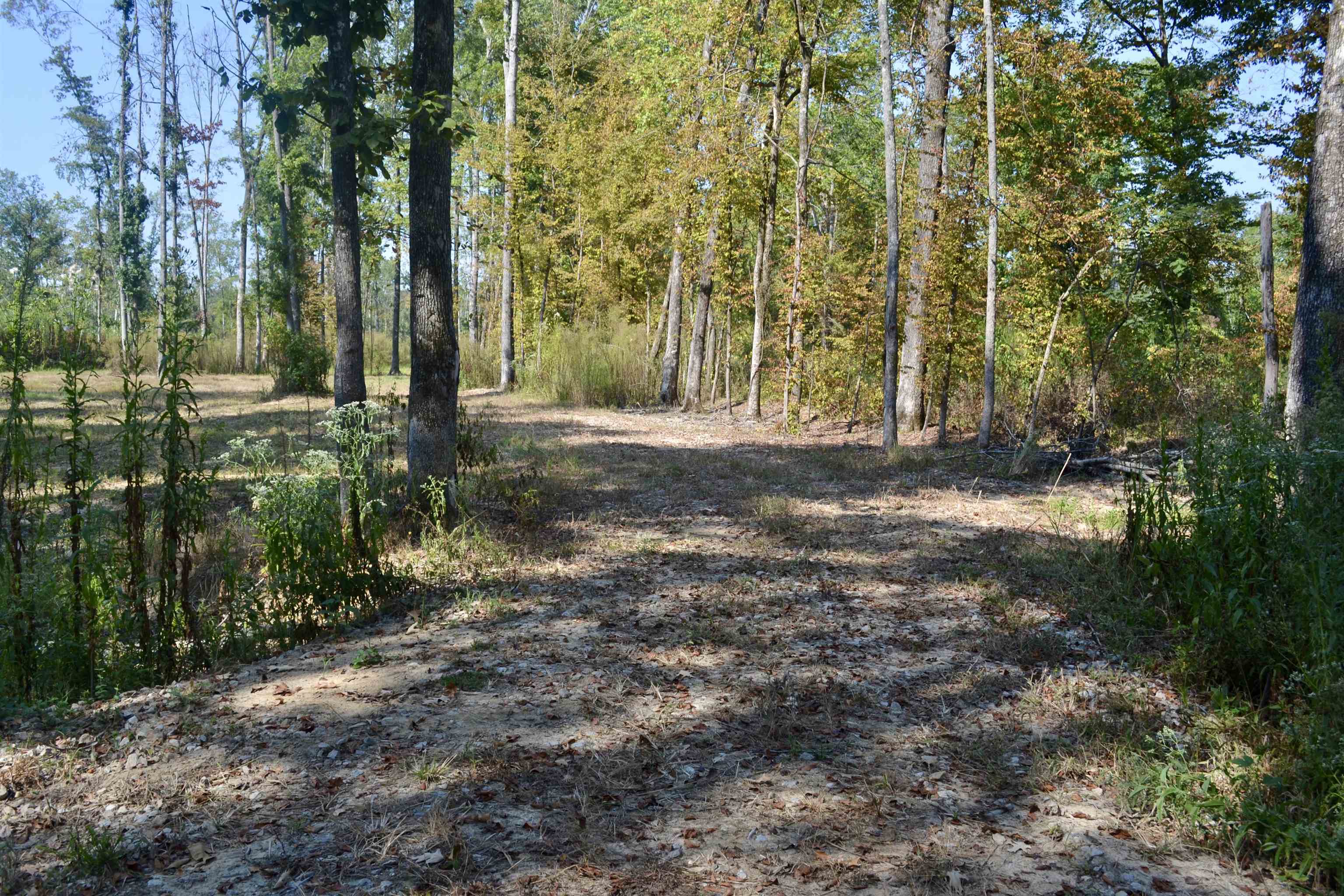 00 Estonallie Rd Property Photo 21