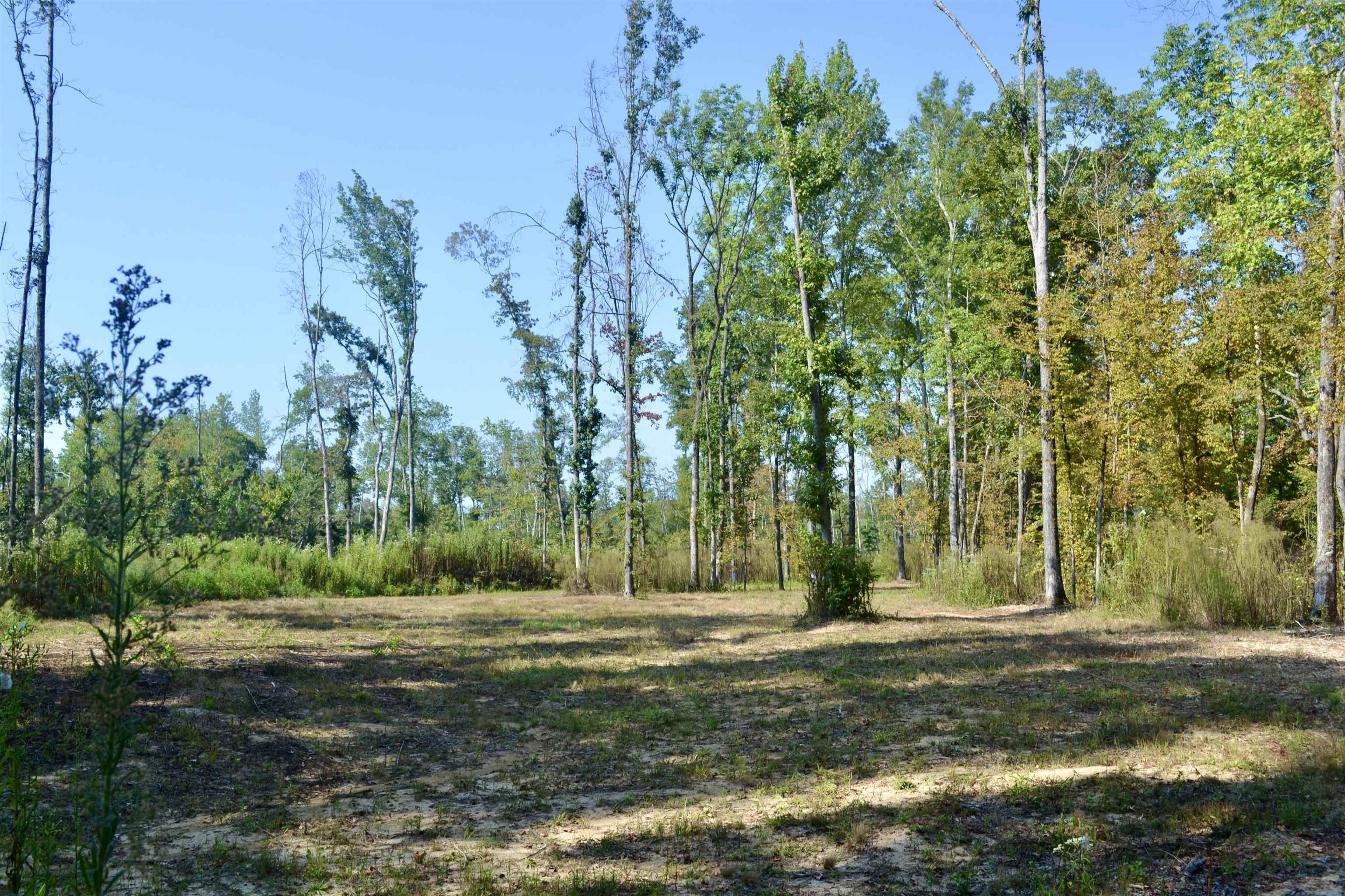 00 Estonallie Rd Property Photo 22