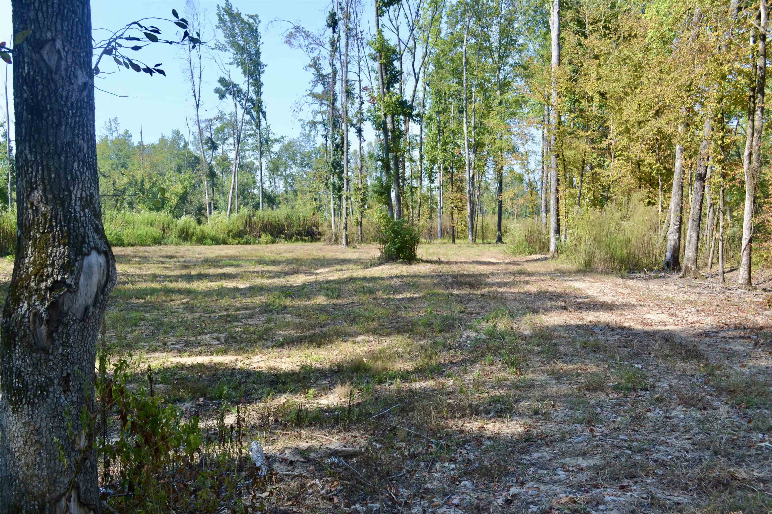 00 Estonallie Rd Property Photo 25