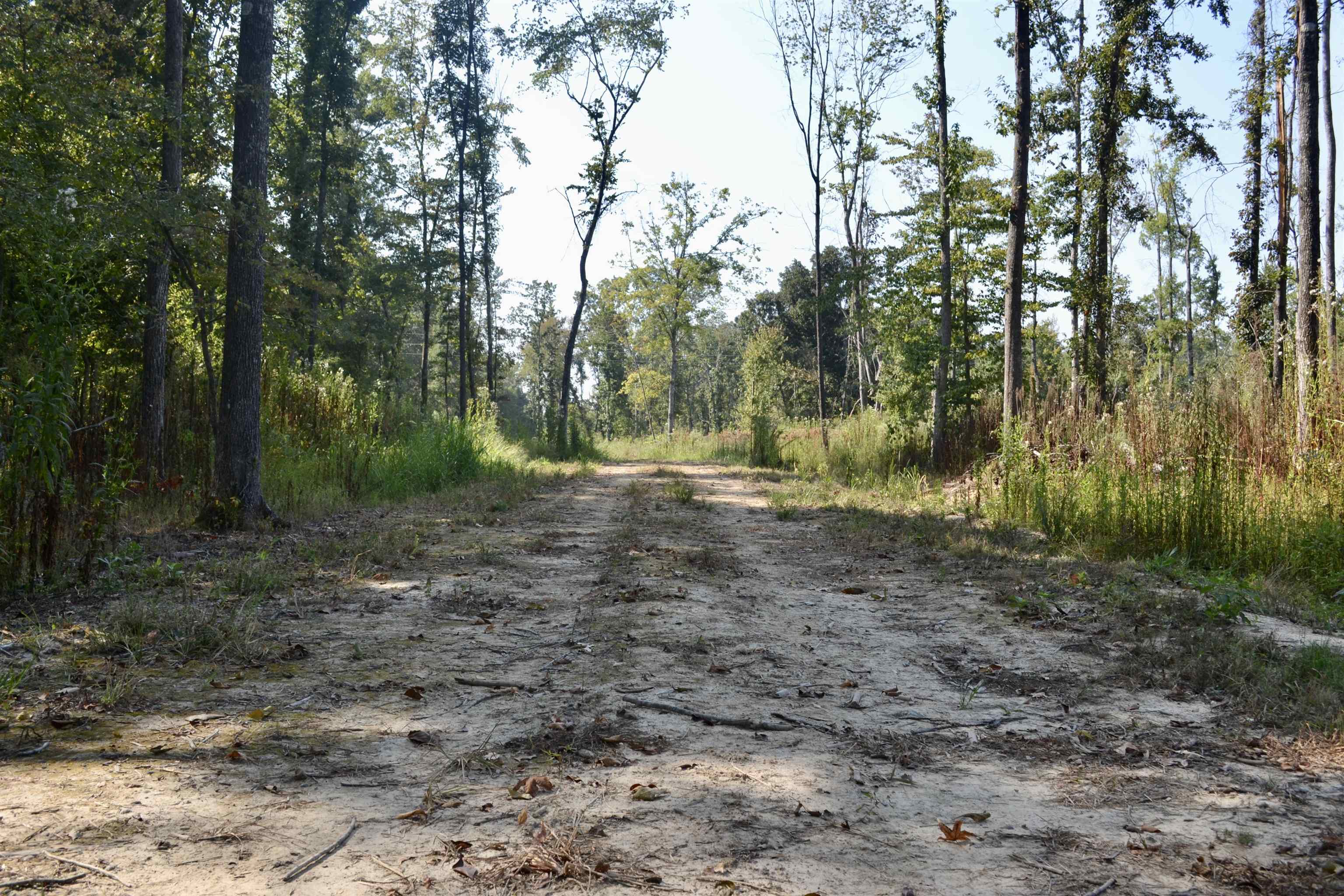 00 Estonallie Rd Property Photo 27