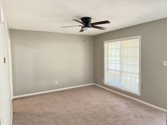 3815 Tessland Rd Property Photo 3