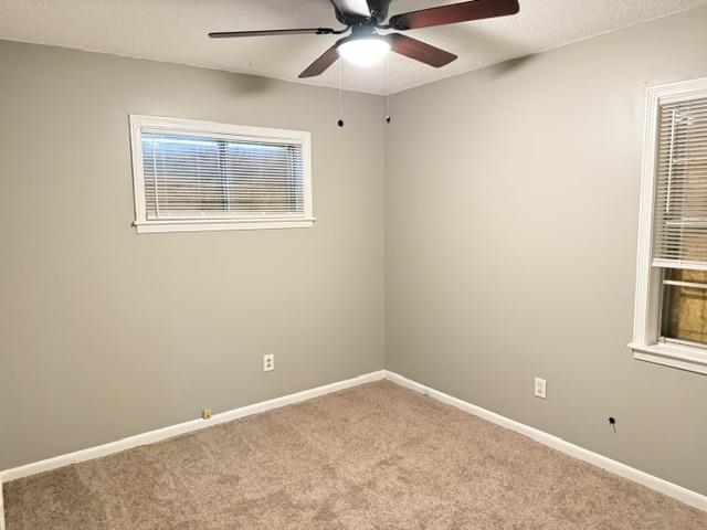 3815 Tessland Rd Property Photo 18