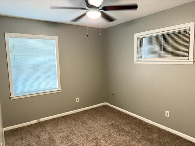 3815 Tessland Rd Property Photo 19